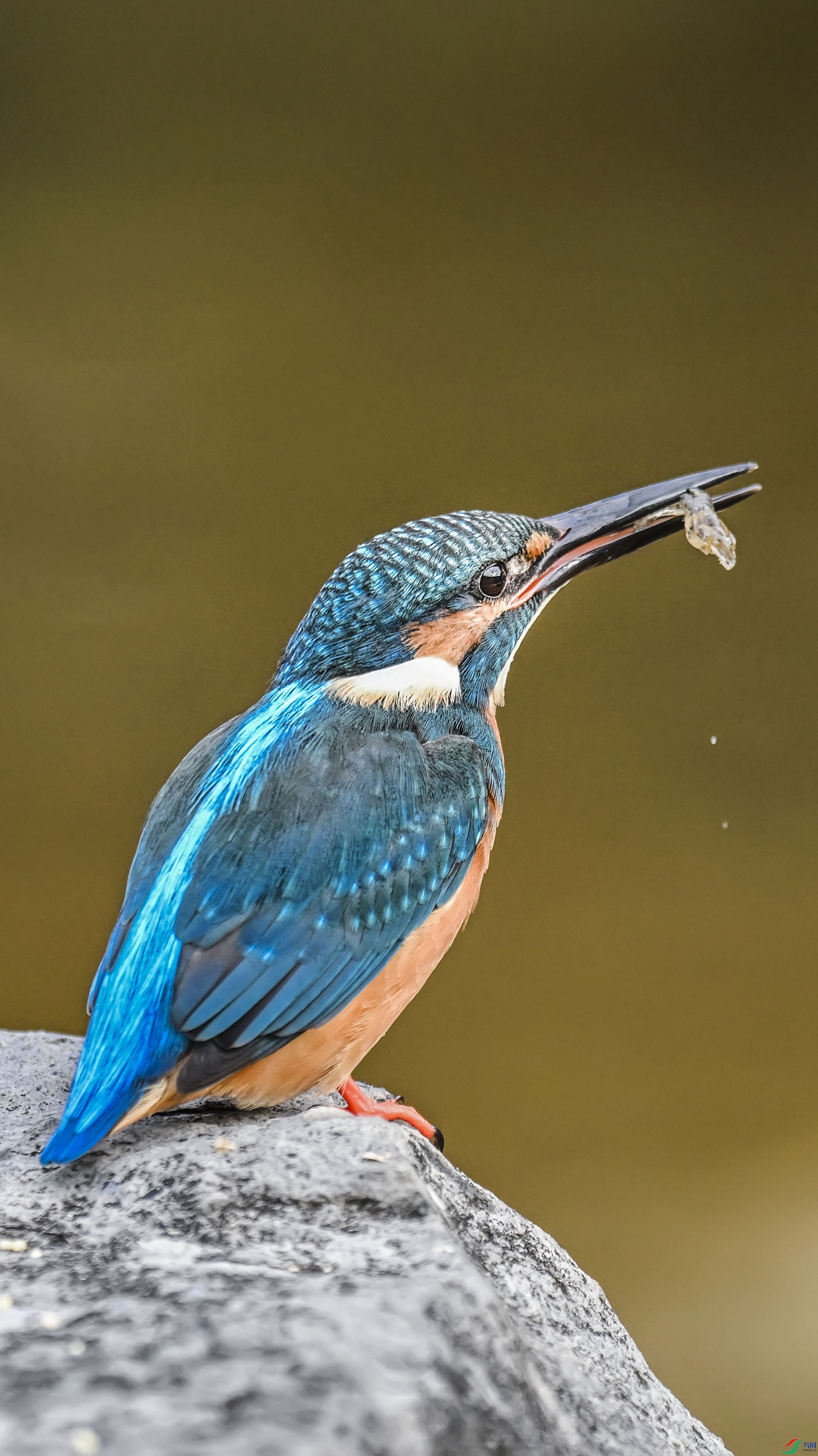 DSC_9046.jpg