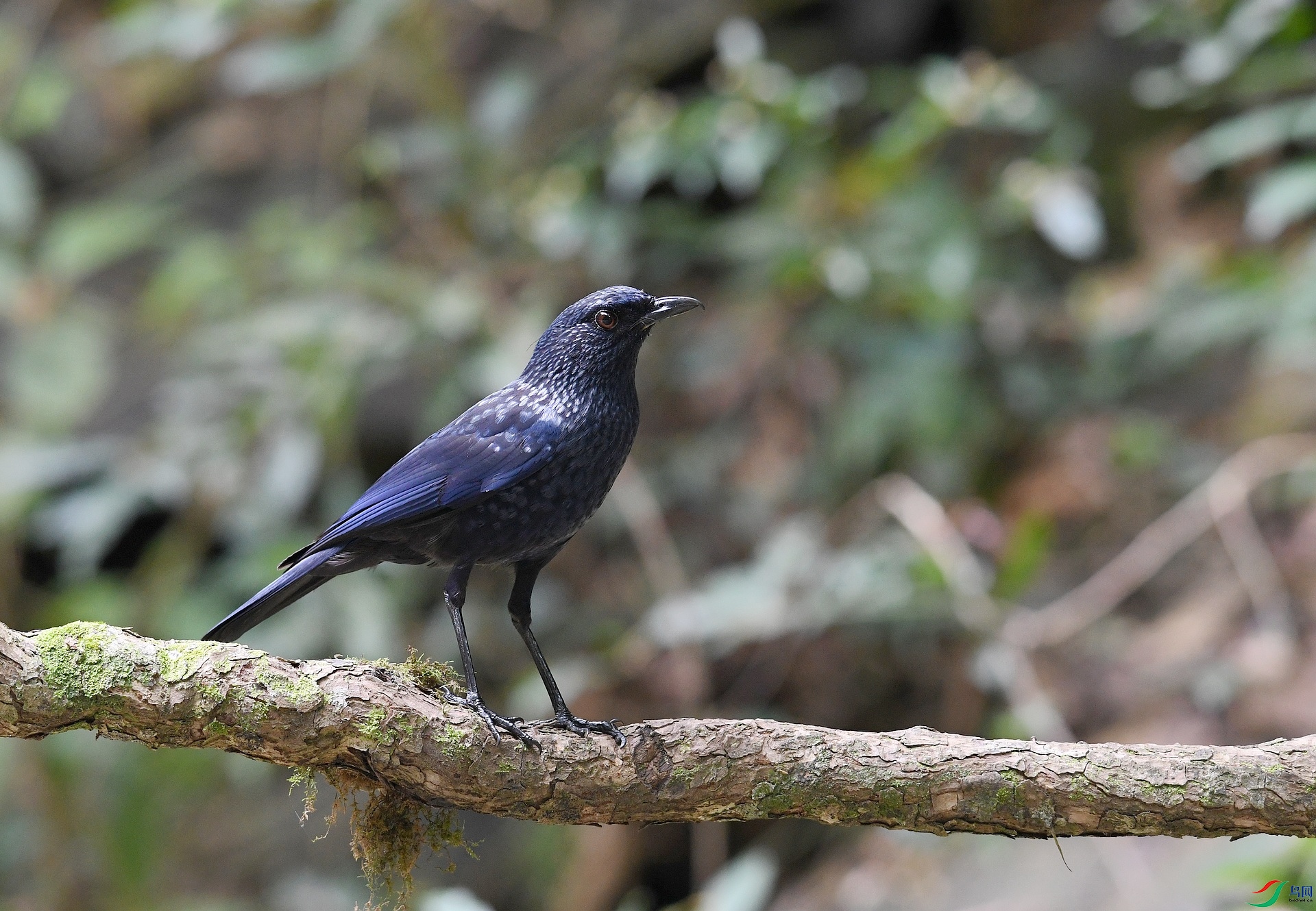 DSC_0751.jpg