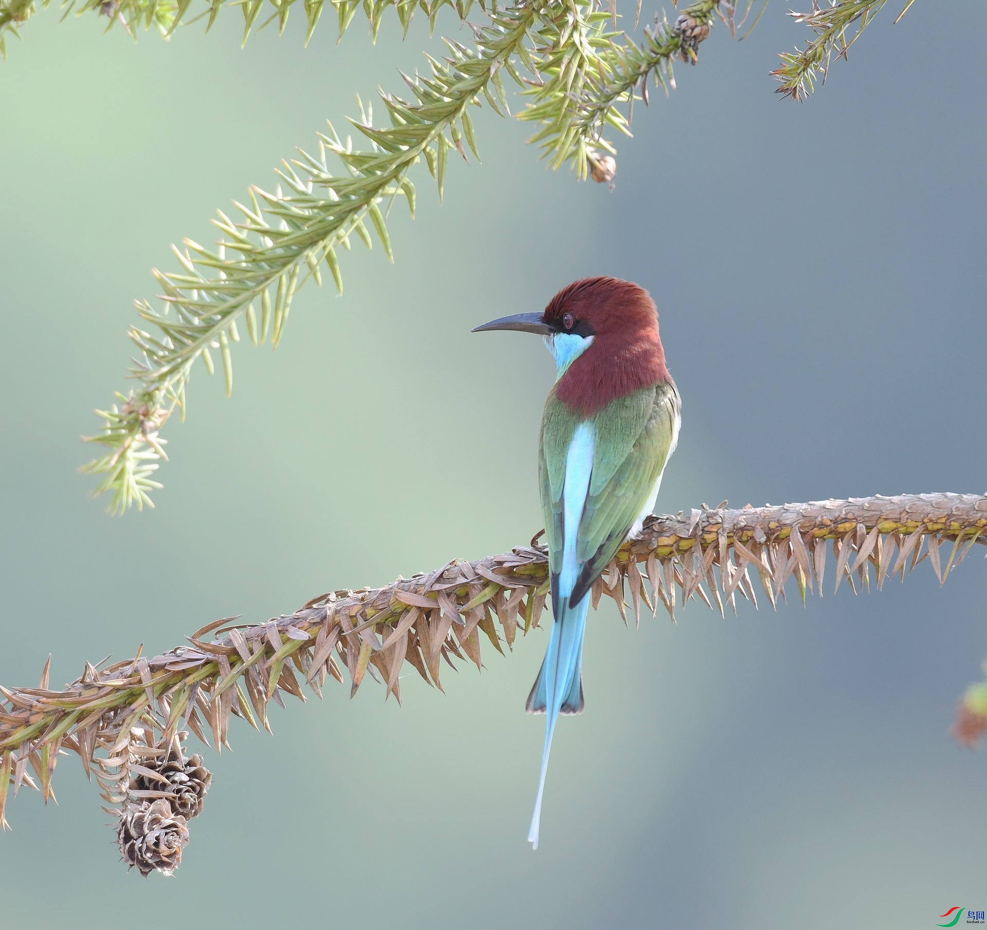 DSC_0454.jpg