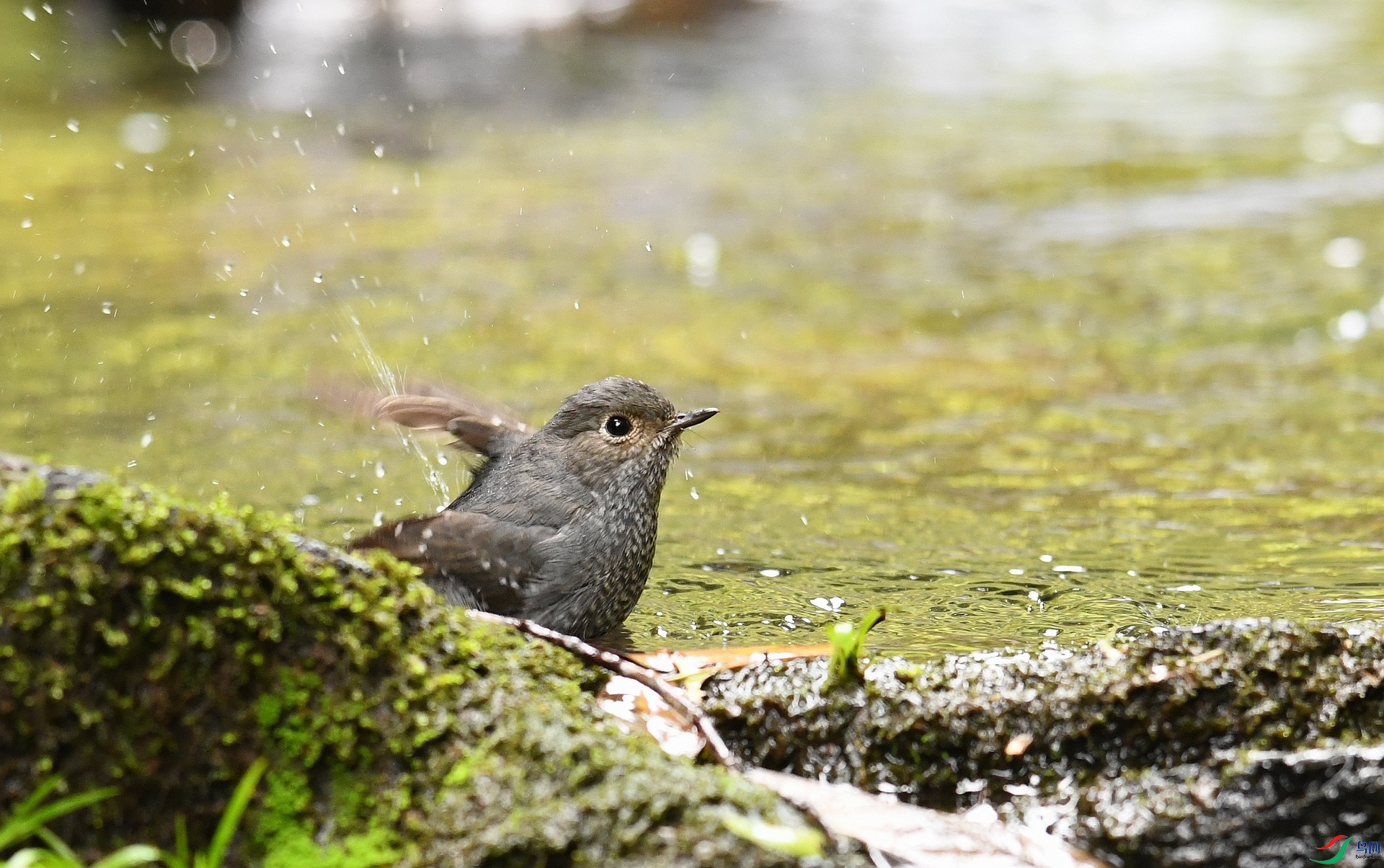 DSC_5444.jpg