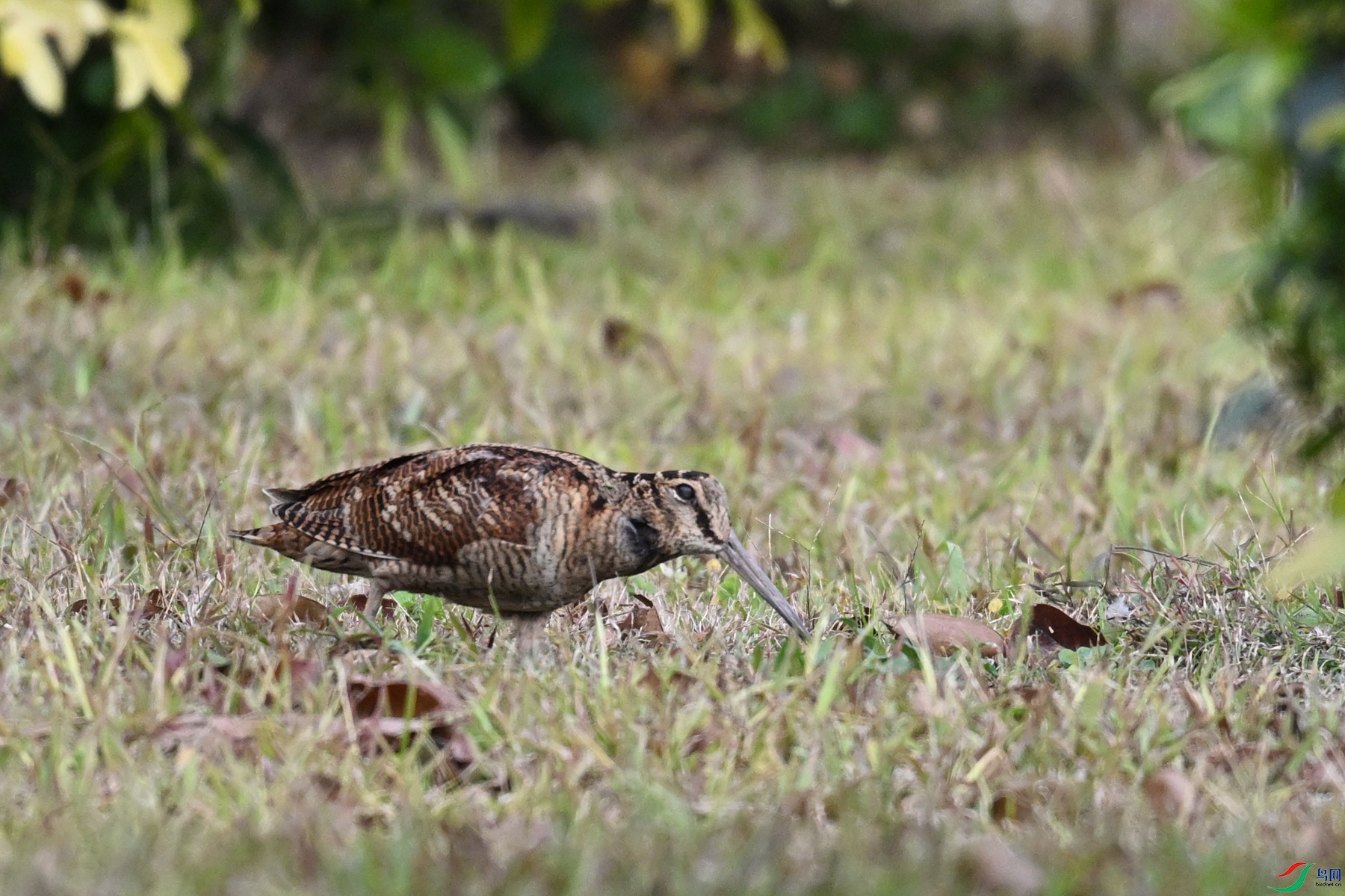 DSC_8436.JPG