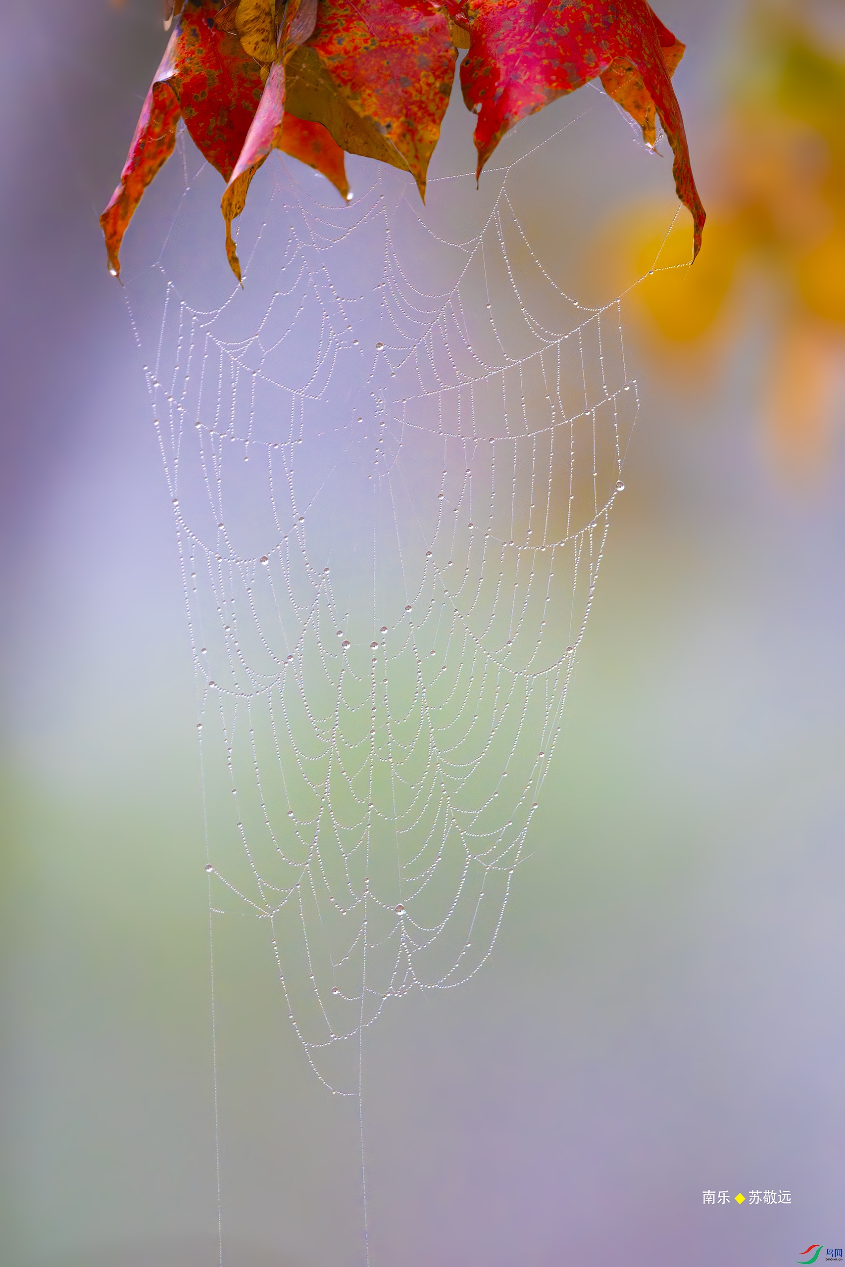 _DSC0954-DxO_С.jpg