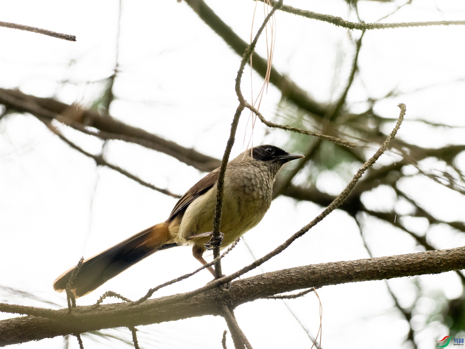 P5020143-1.jpg