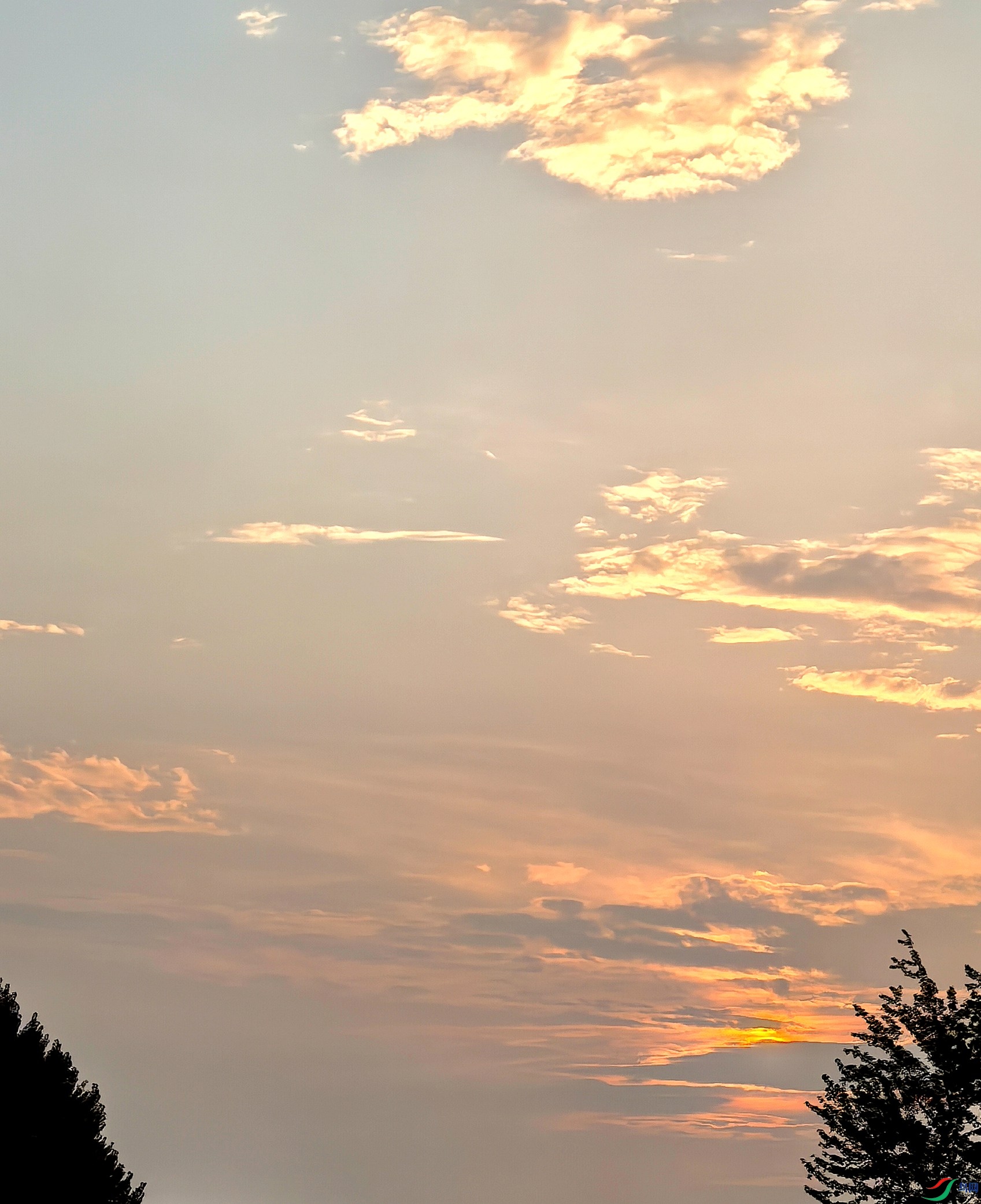 IMG_20240805_053216_����.jpg