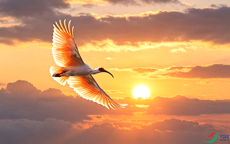 .IMG_20260511_053656.png