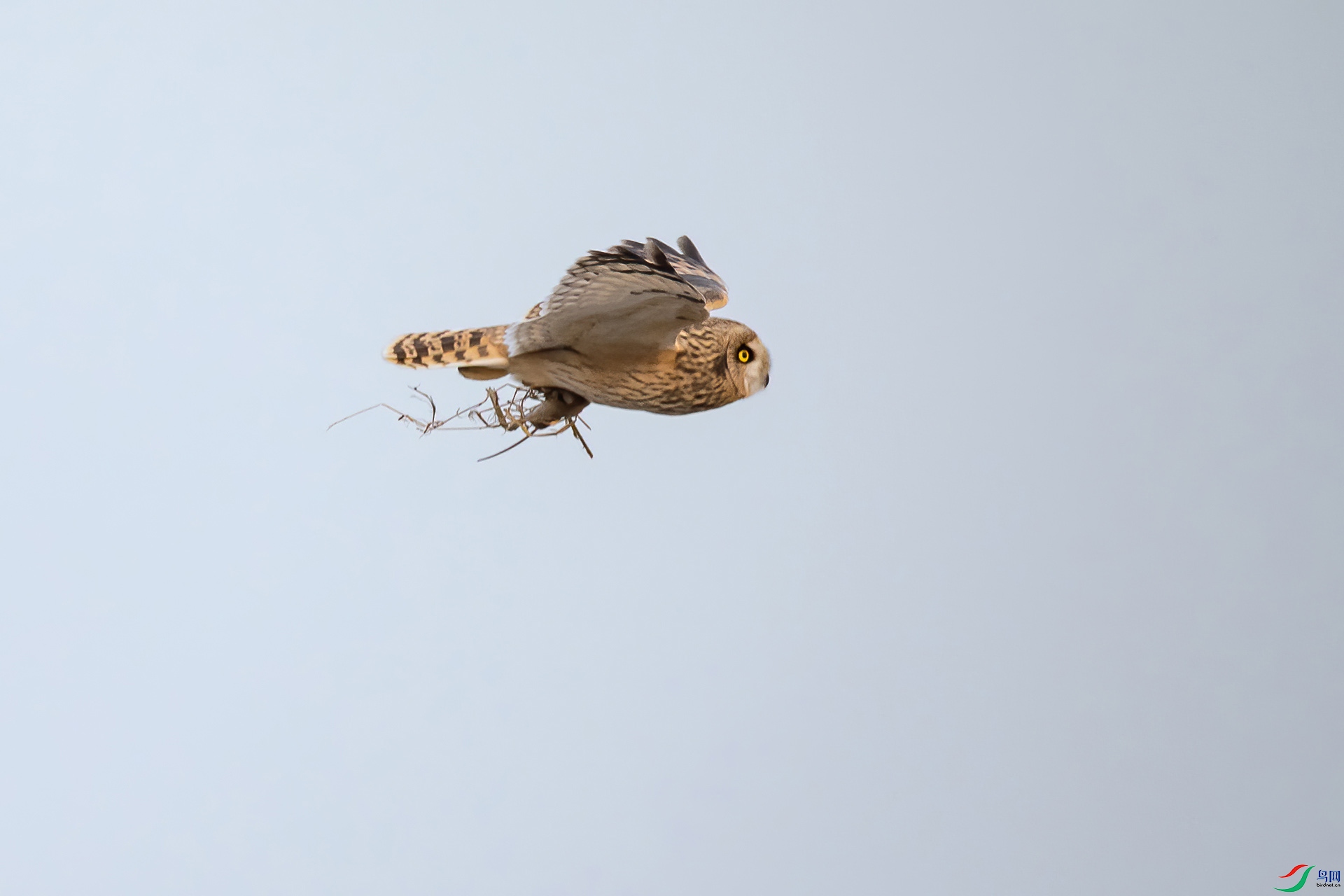 DSC_0800-20210302�ü� .jpg
