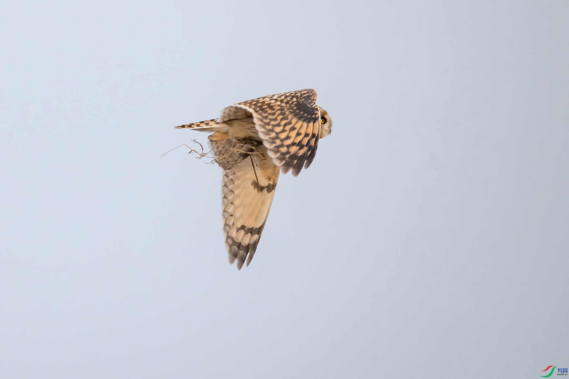 DSC_0804-20210302�ü� .jpg