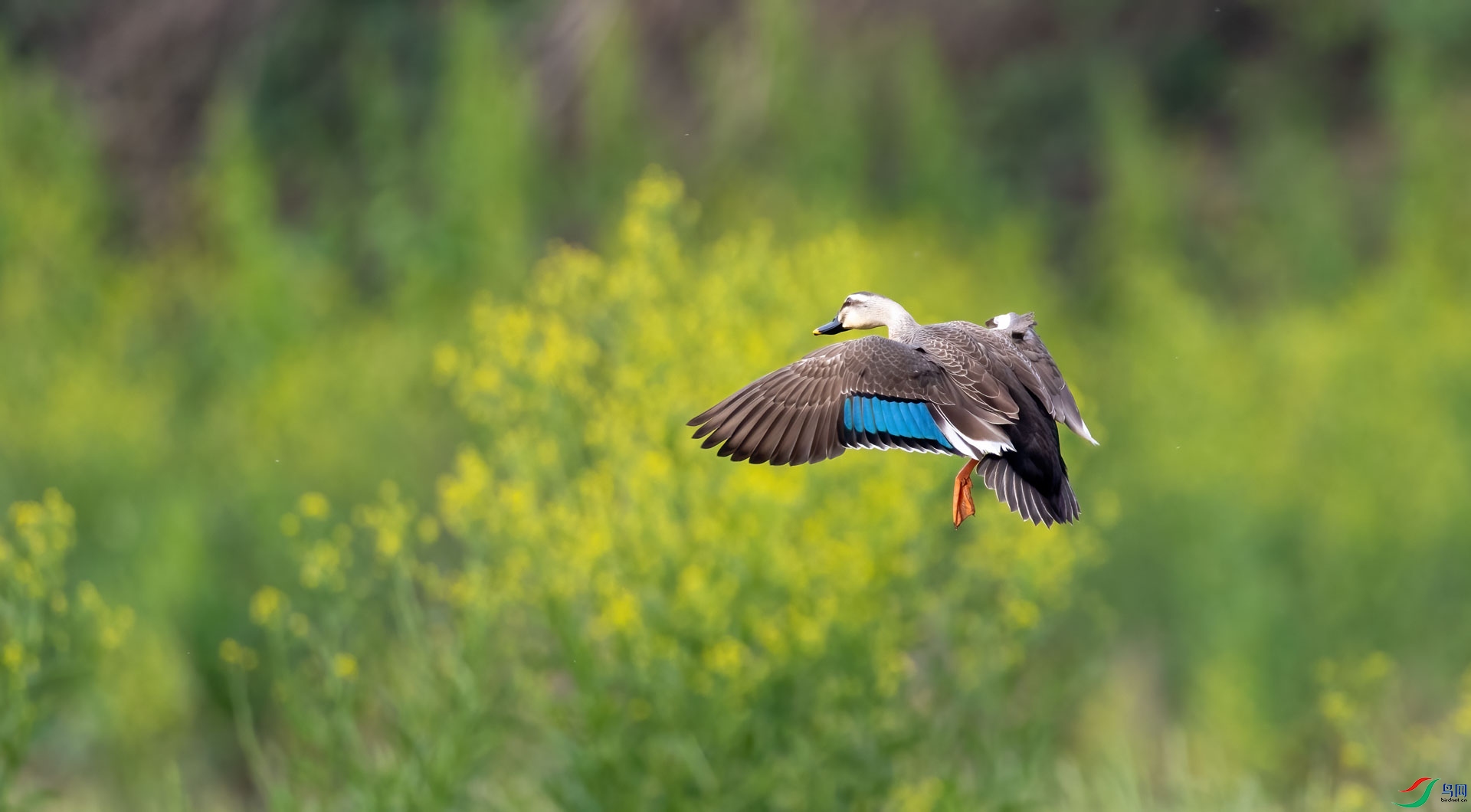 0L7A6846.jpg