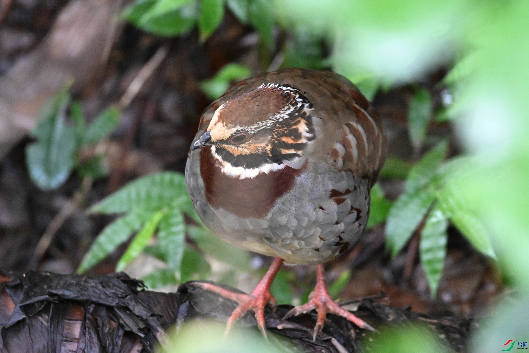 DSC_3689.JPG