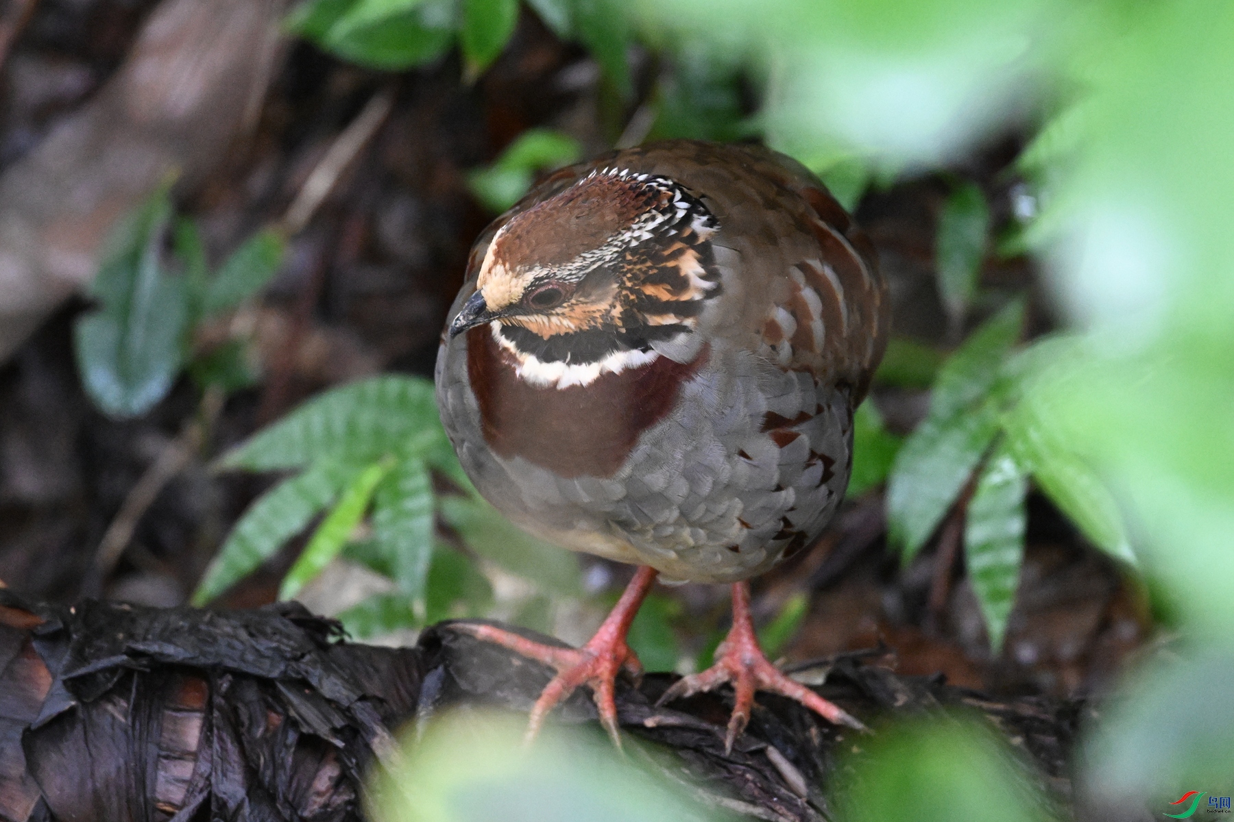 DSC_3691.JPG
