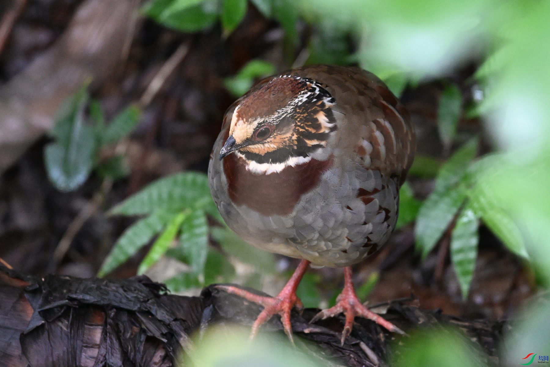 DSC_3693.JPG