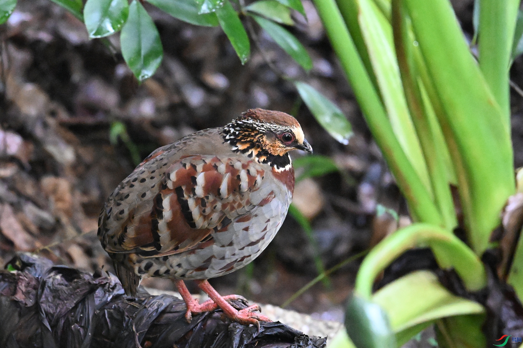 DSC_3644.JPG