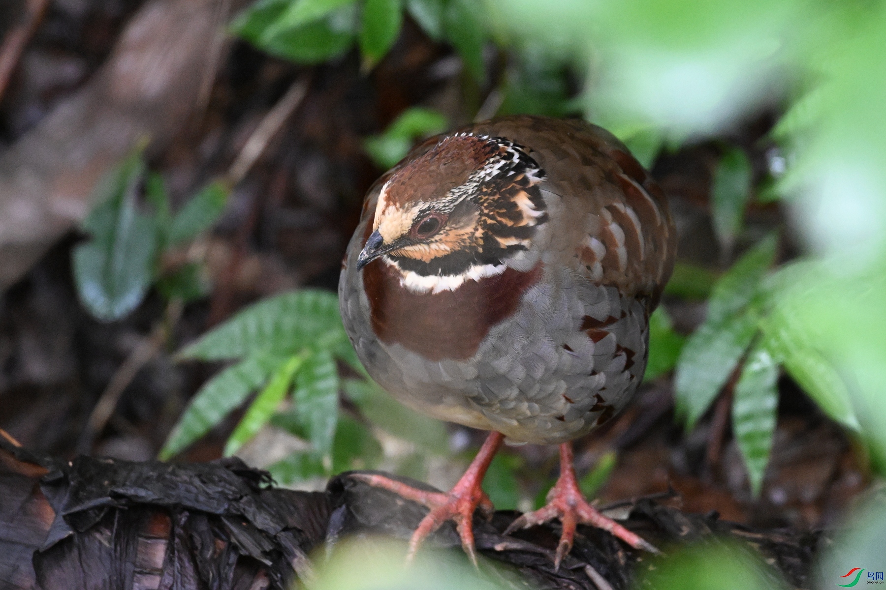 DSC_3692.JPG