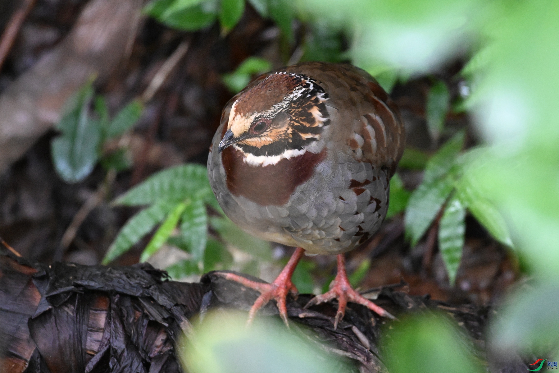 DSC_3694.JPG