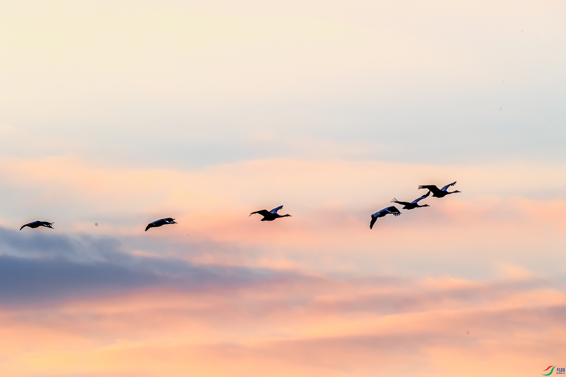 _DSC6797-1.jpg