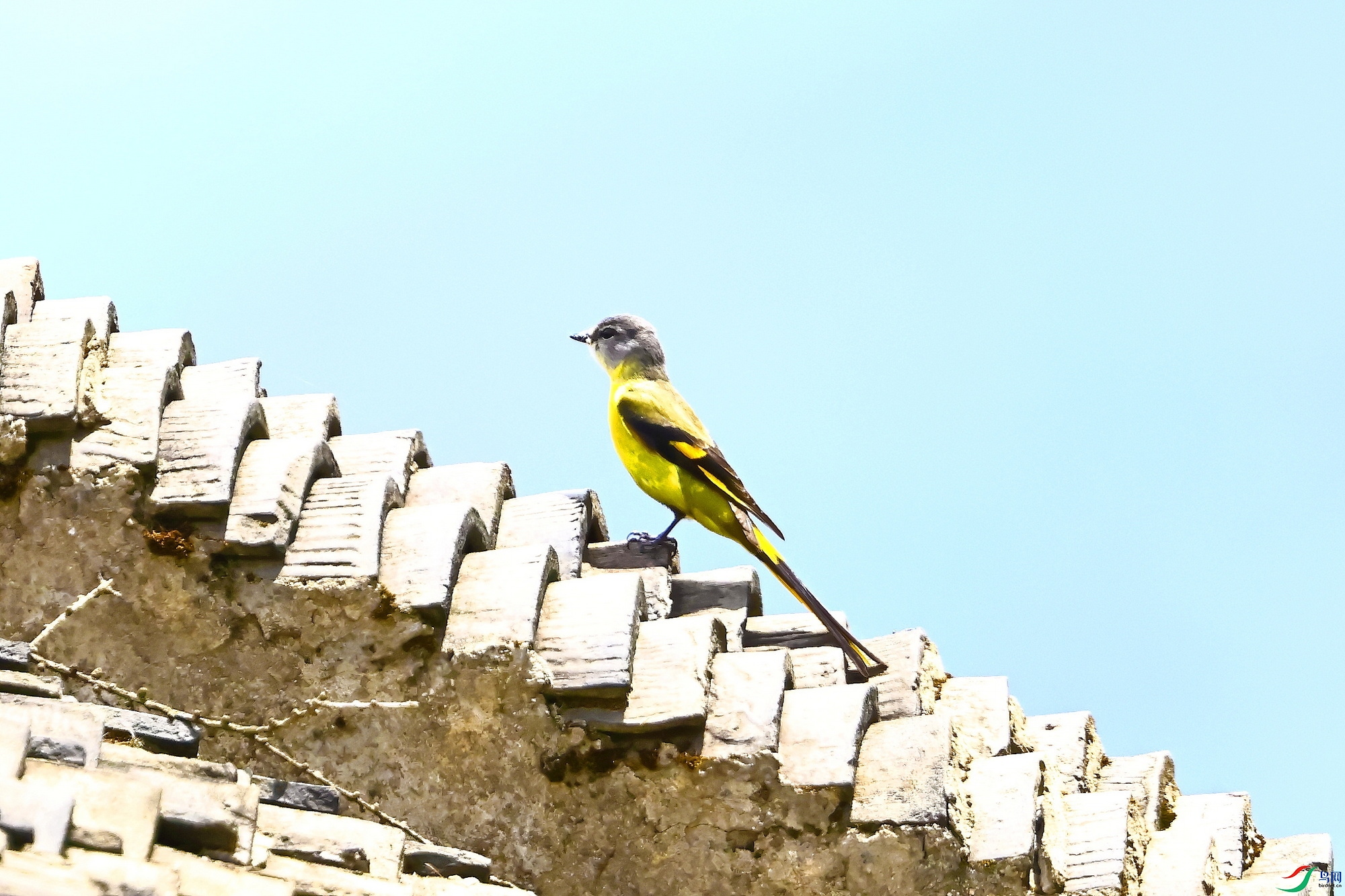 IMG_3311-1.JPG