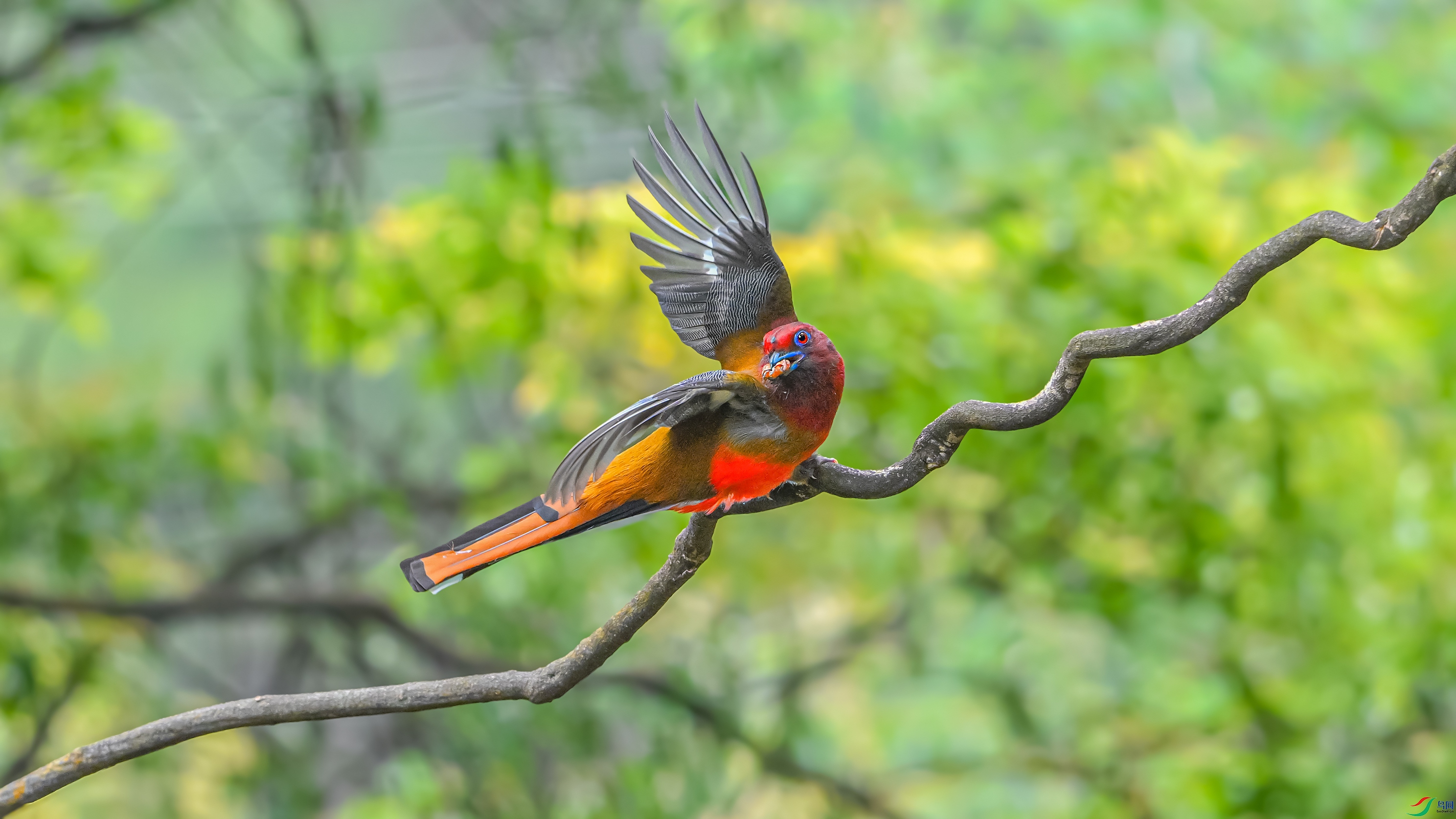DSC_2866.jpg
