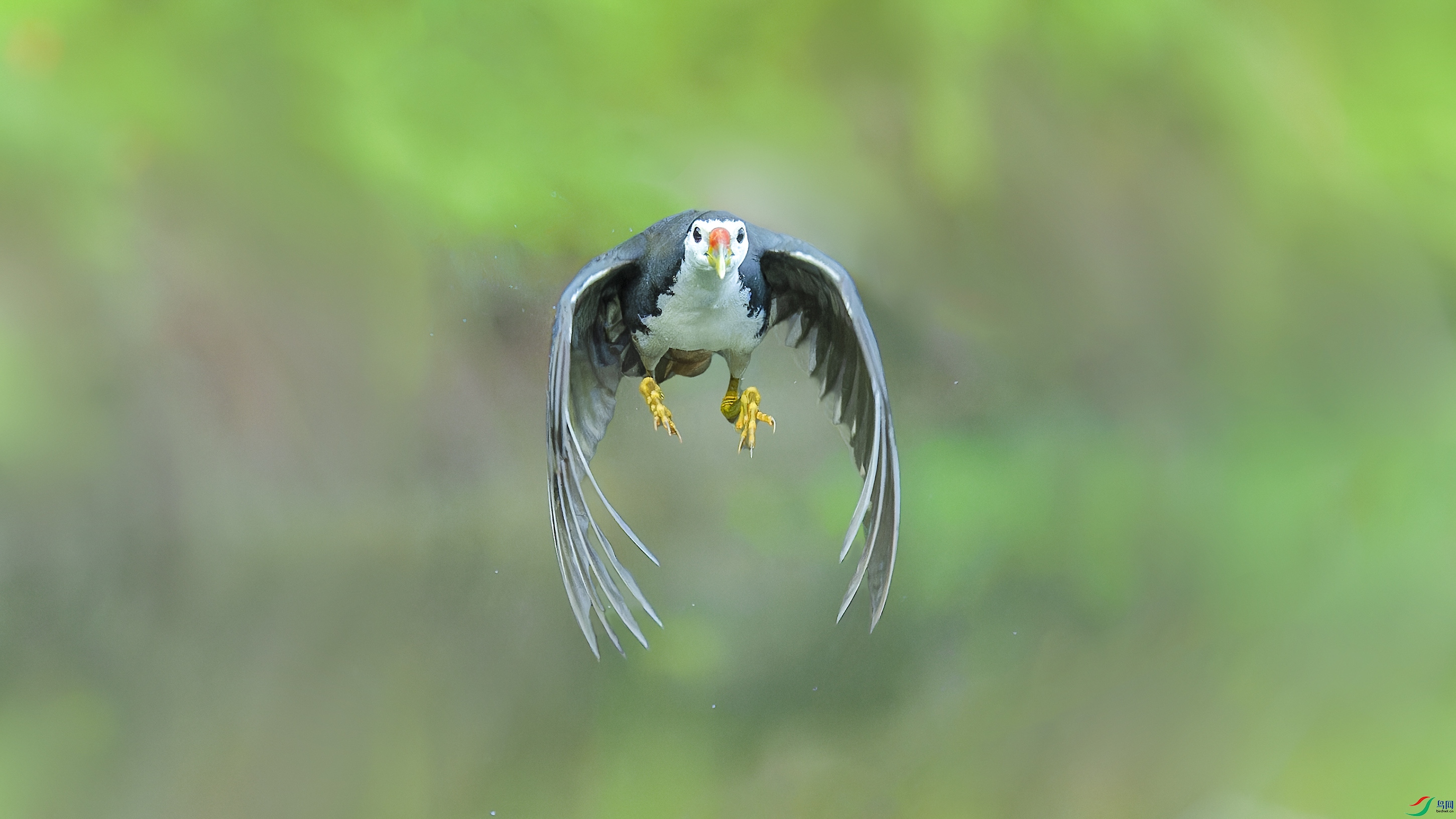 DSC_4255_DxO.jpg