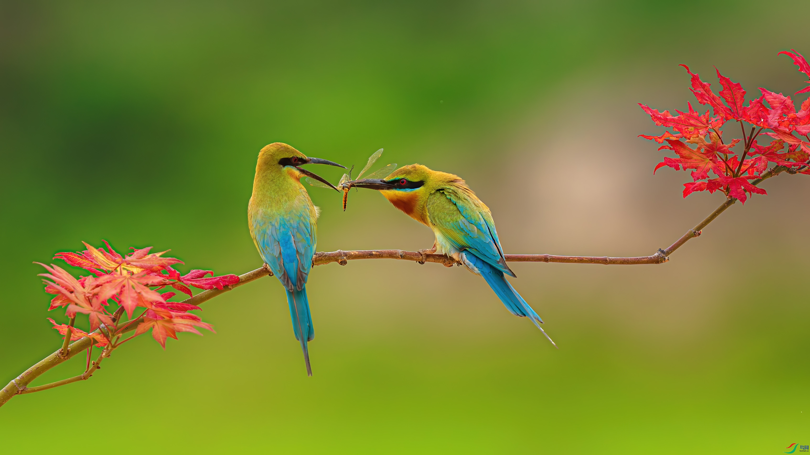 ��-DSC05425-2.jpg