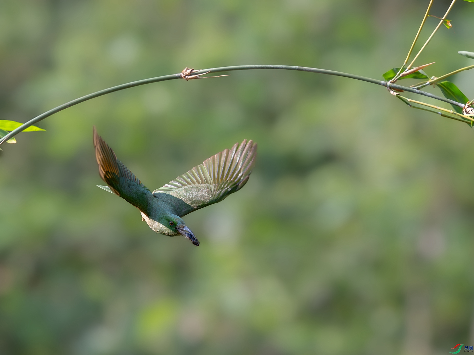 DSC_4086.jpg