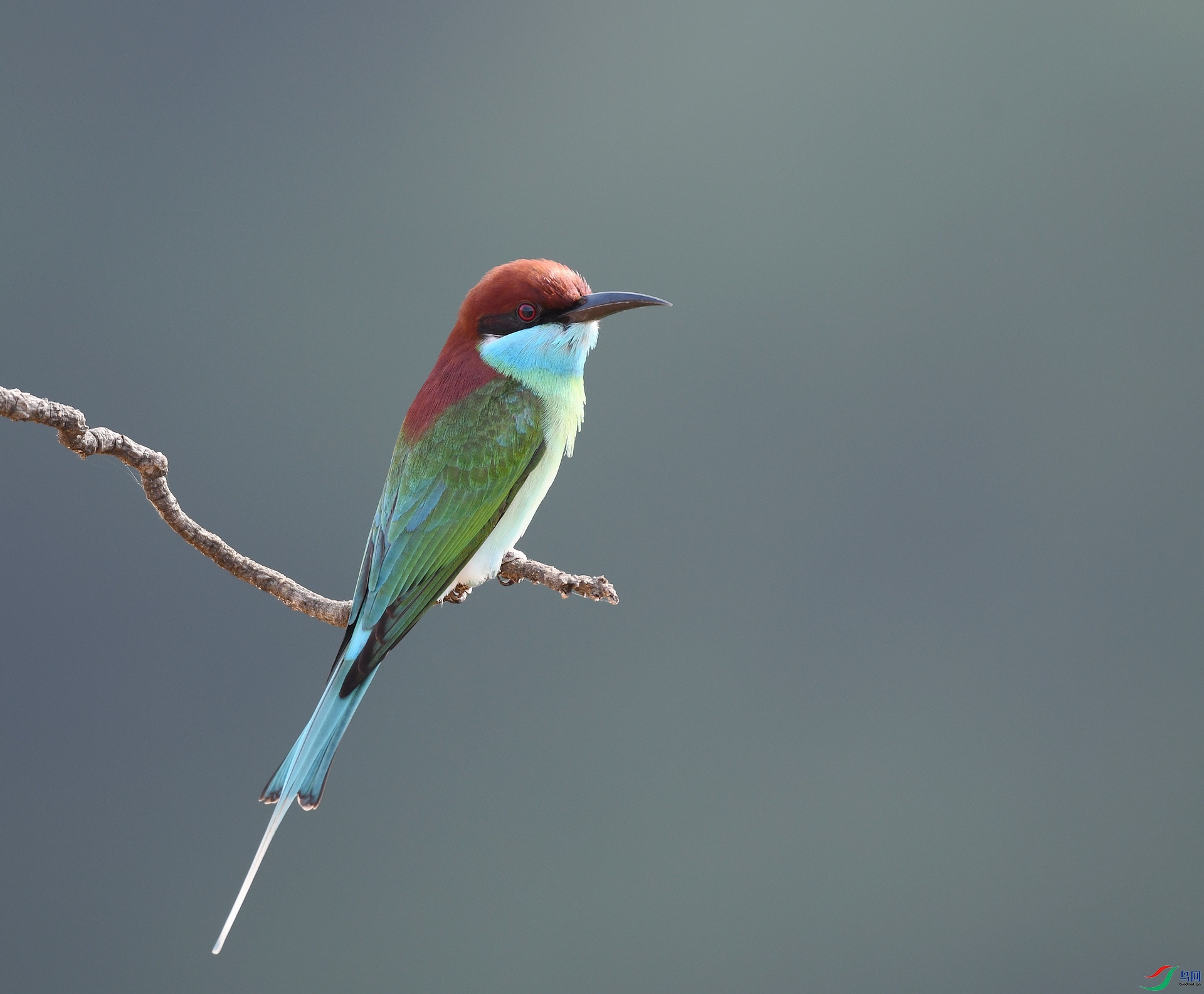 DSC_0420.jpg