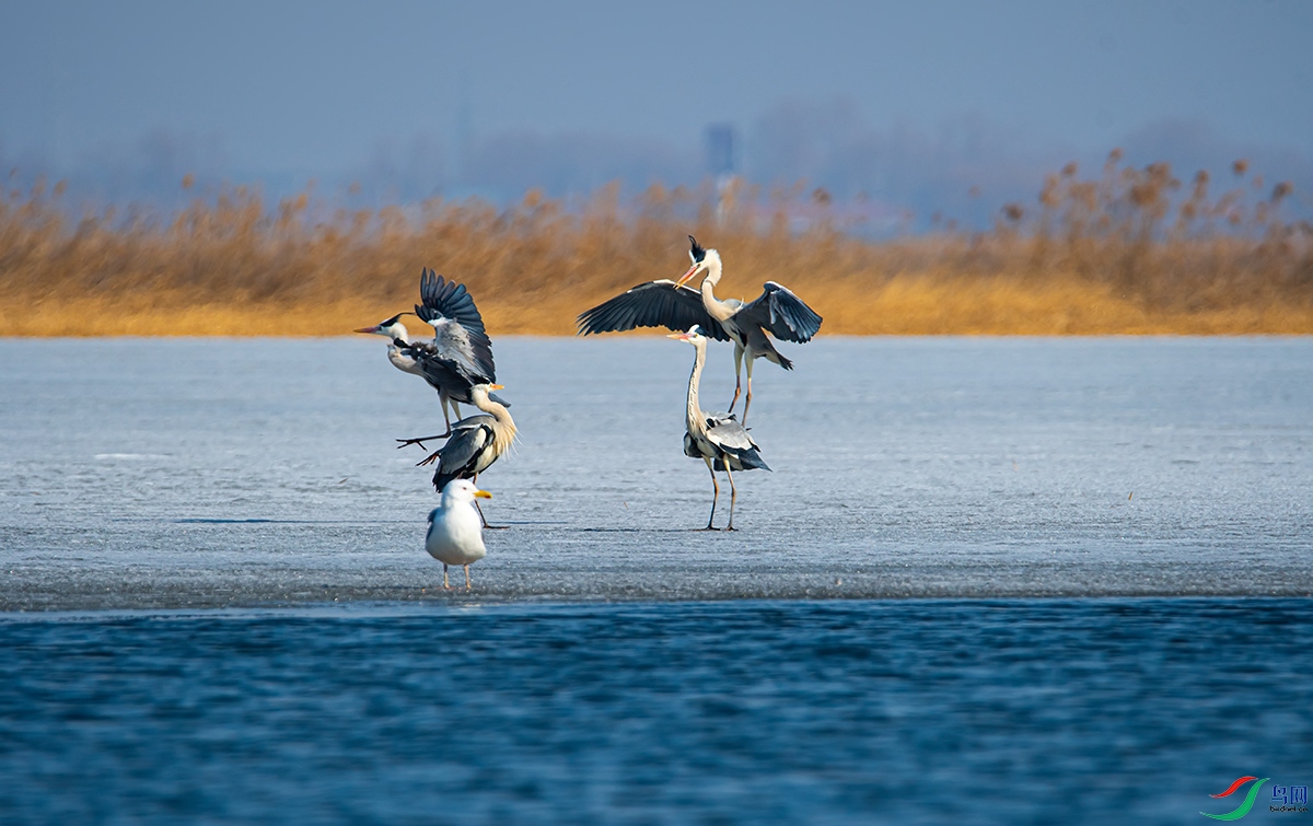20210313 (132).jpg