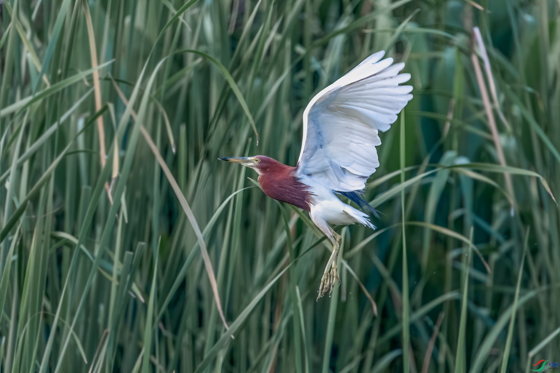 DSC_9079-11.jpg