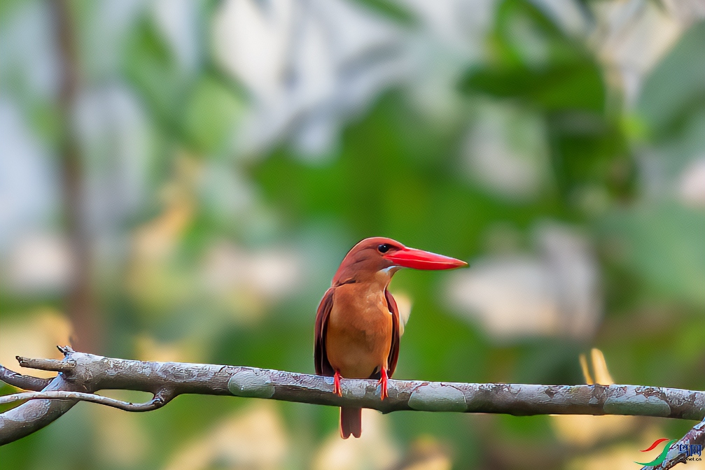 DSC_1142-1.jpg