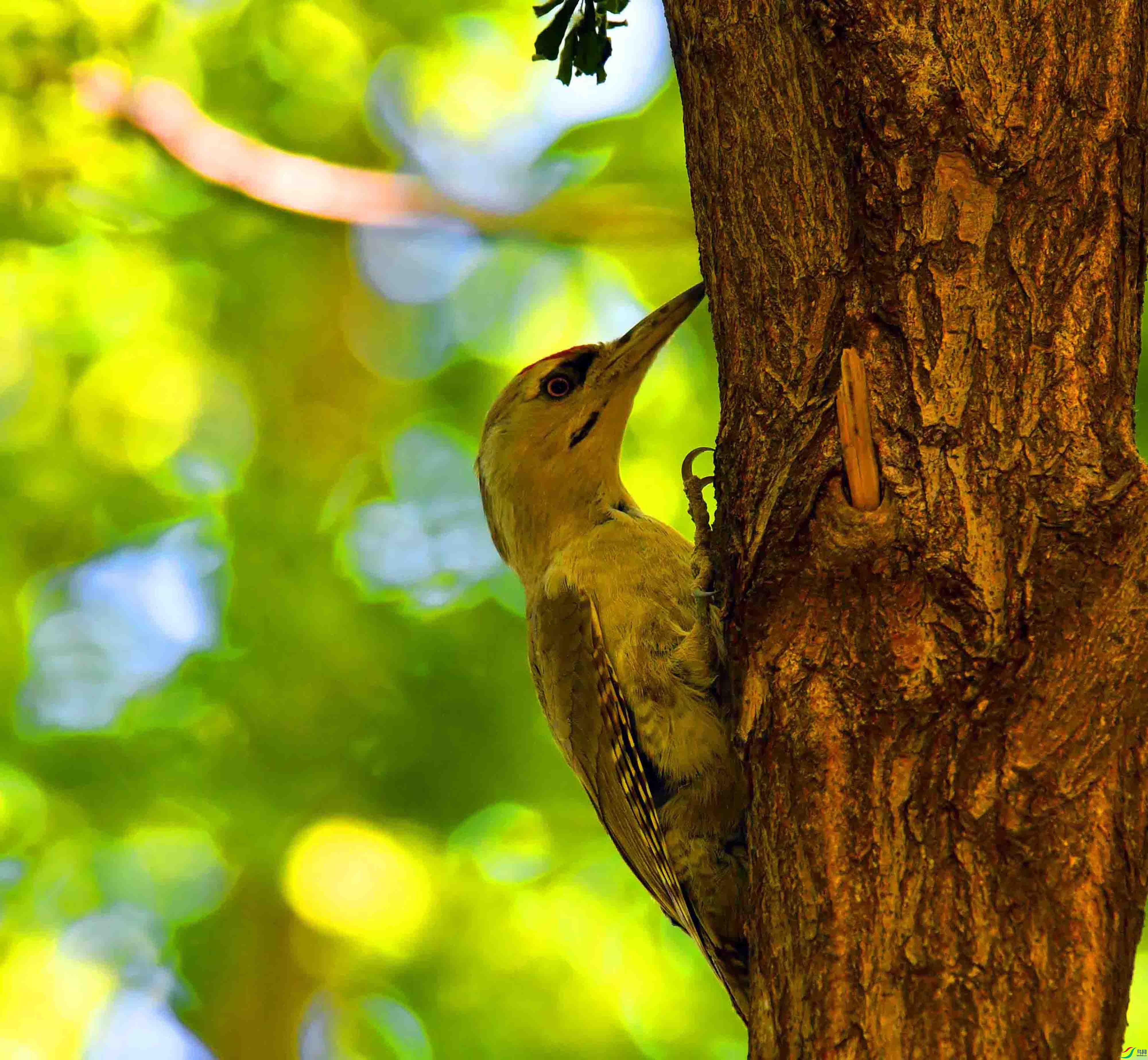 DSC_2376.JPG