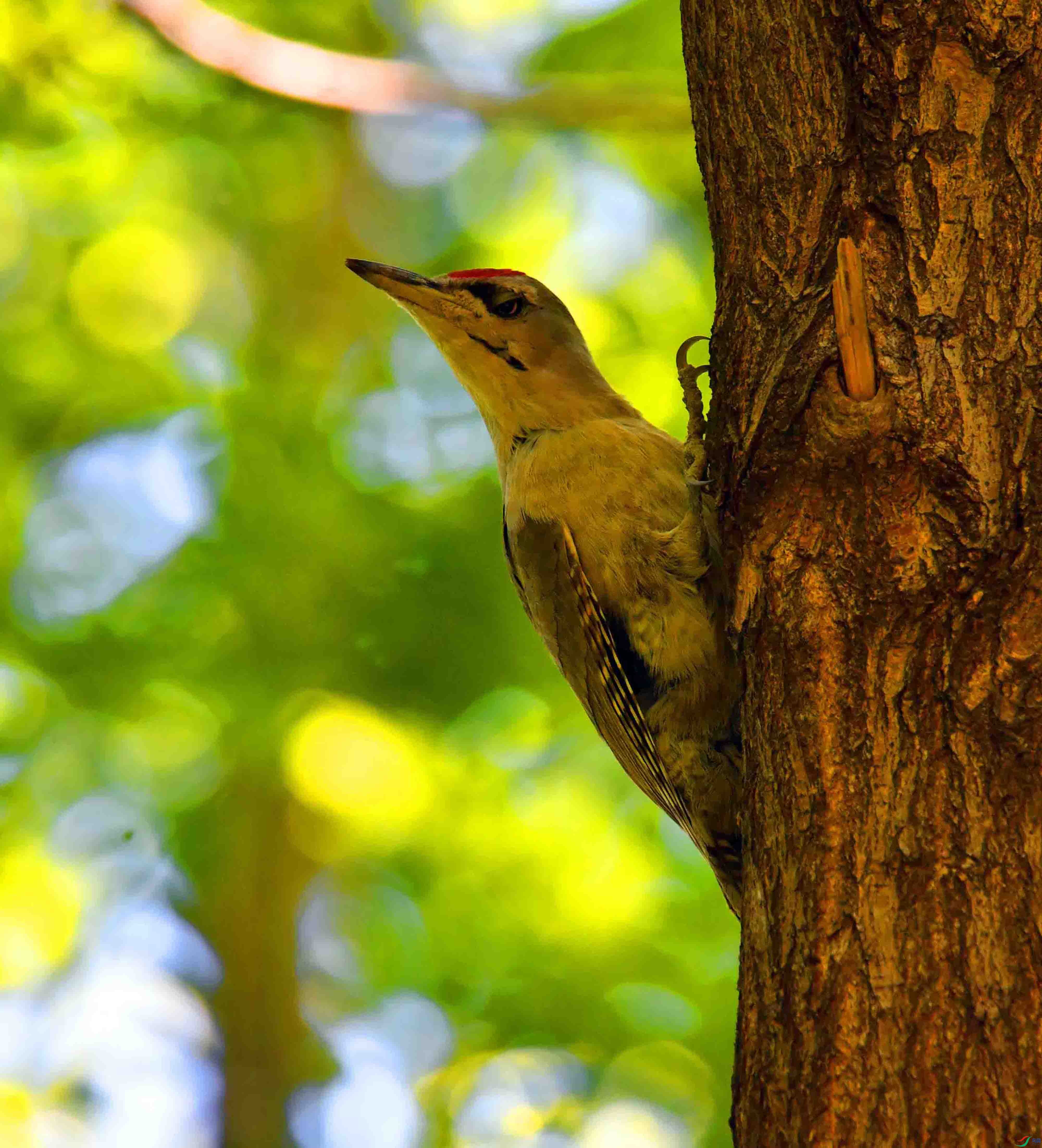 DSC_2378.JPG