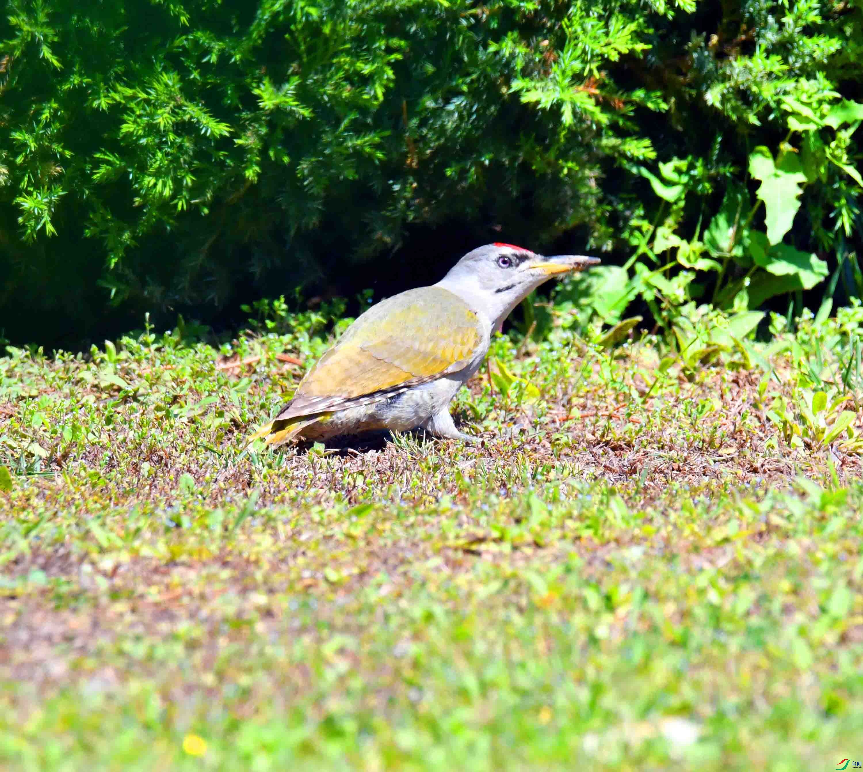 DSC_2467.JPG