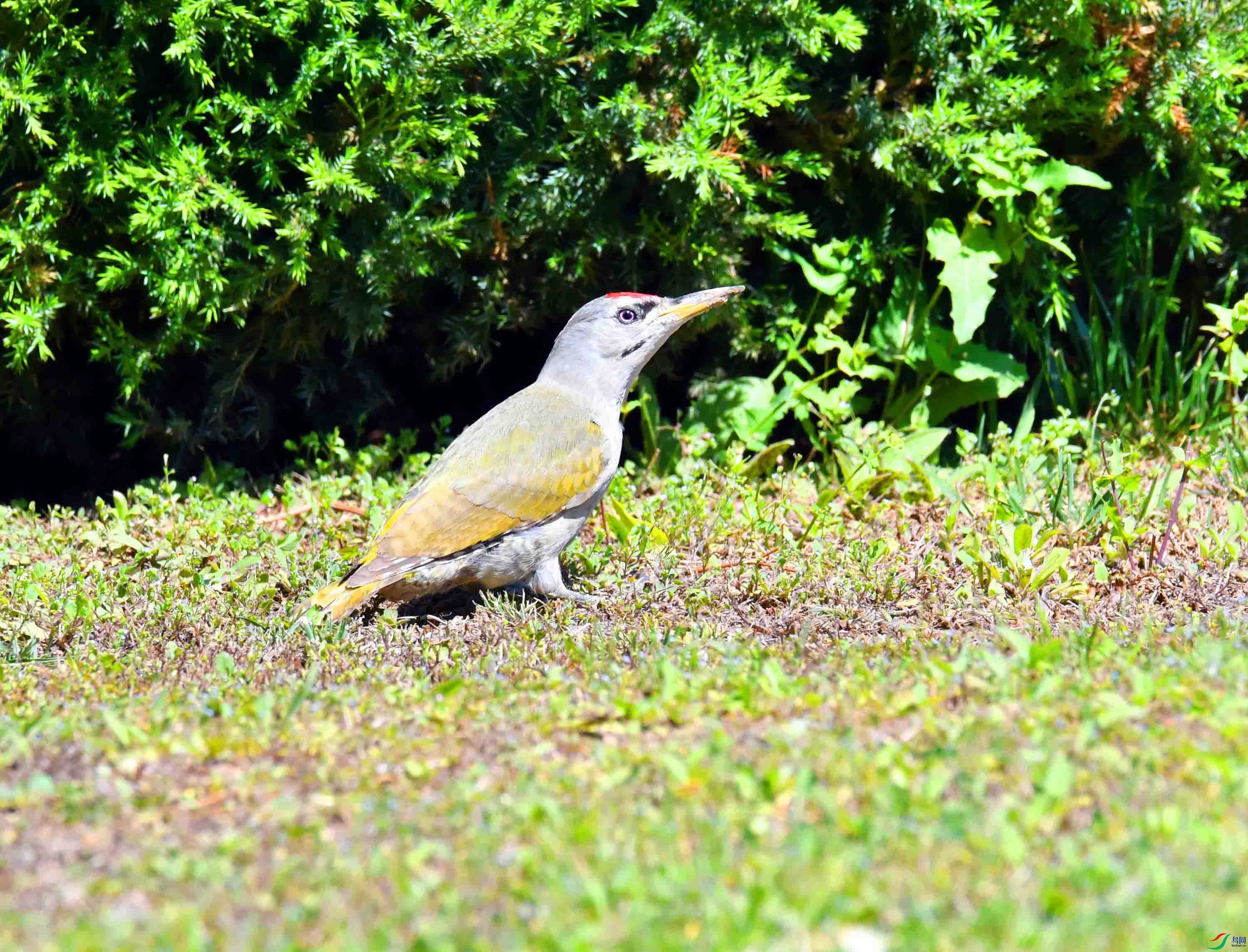 DSC_2455.JPG
