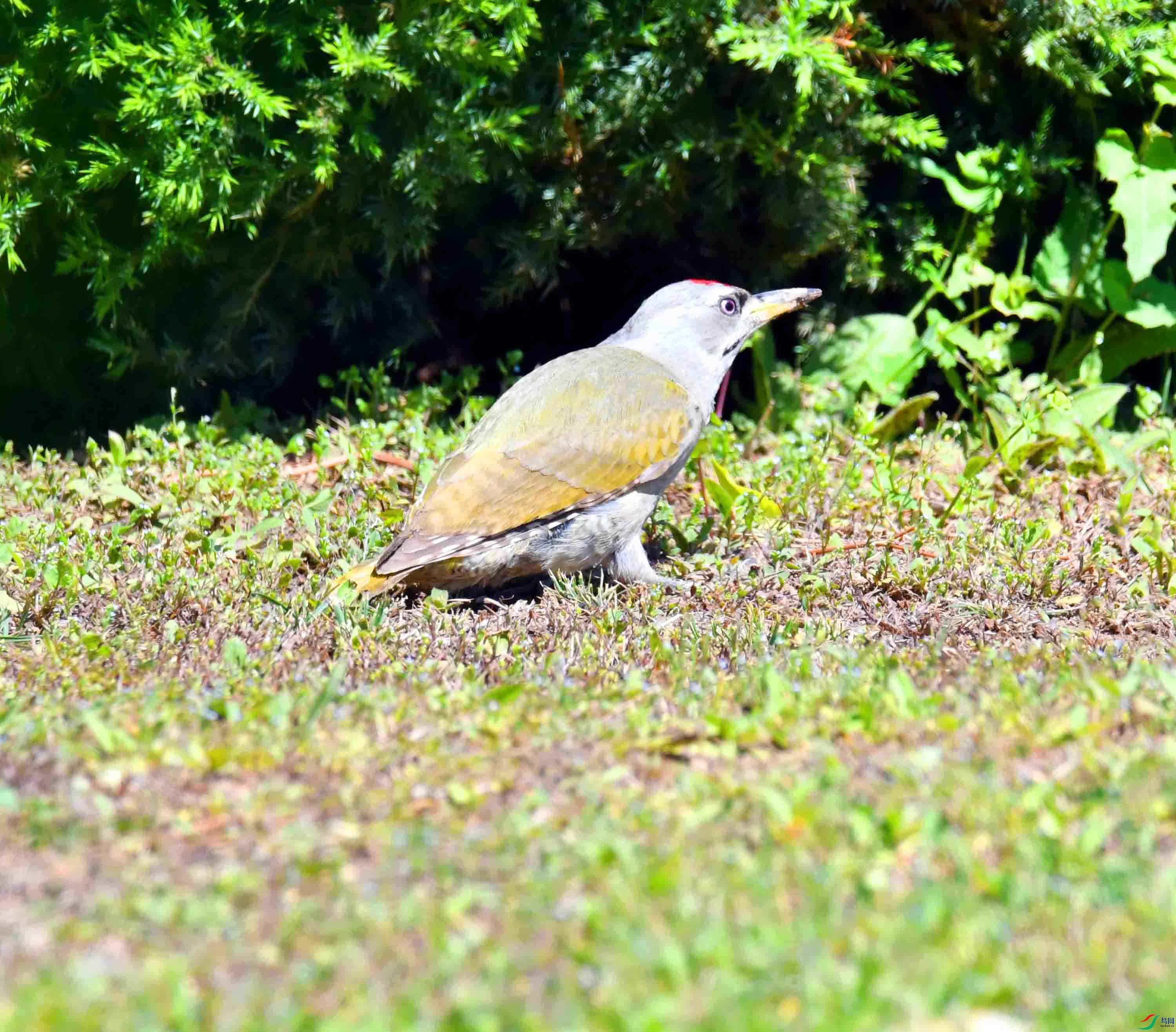 DSC_2472.JPG