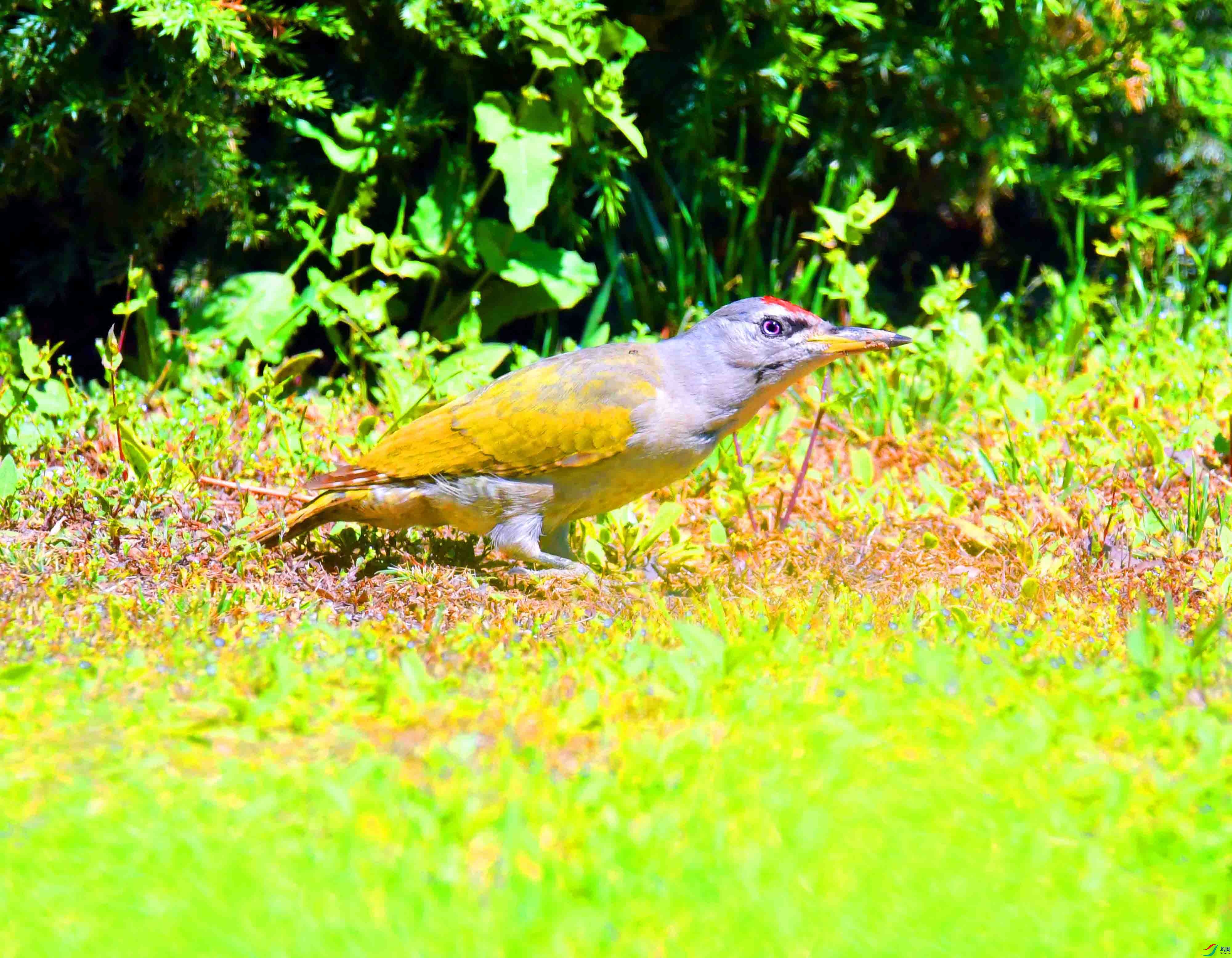DSC_2480.JPG