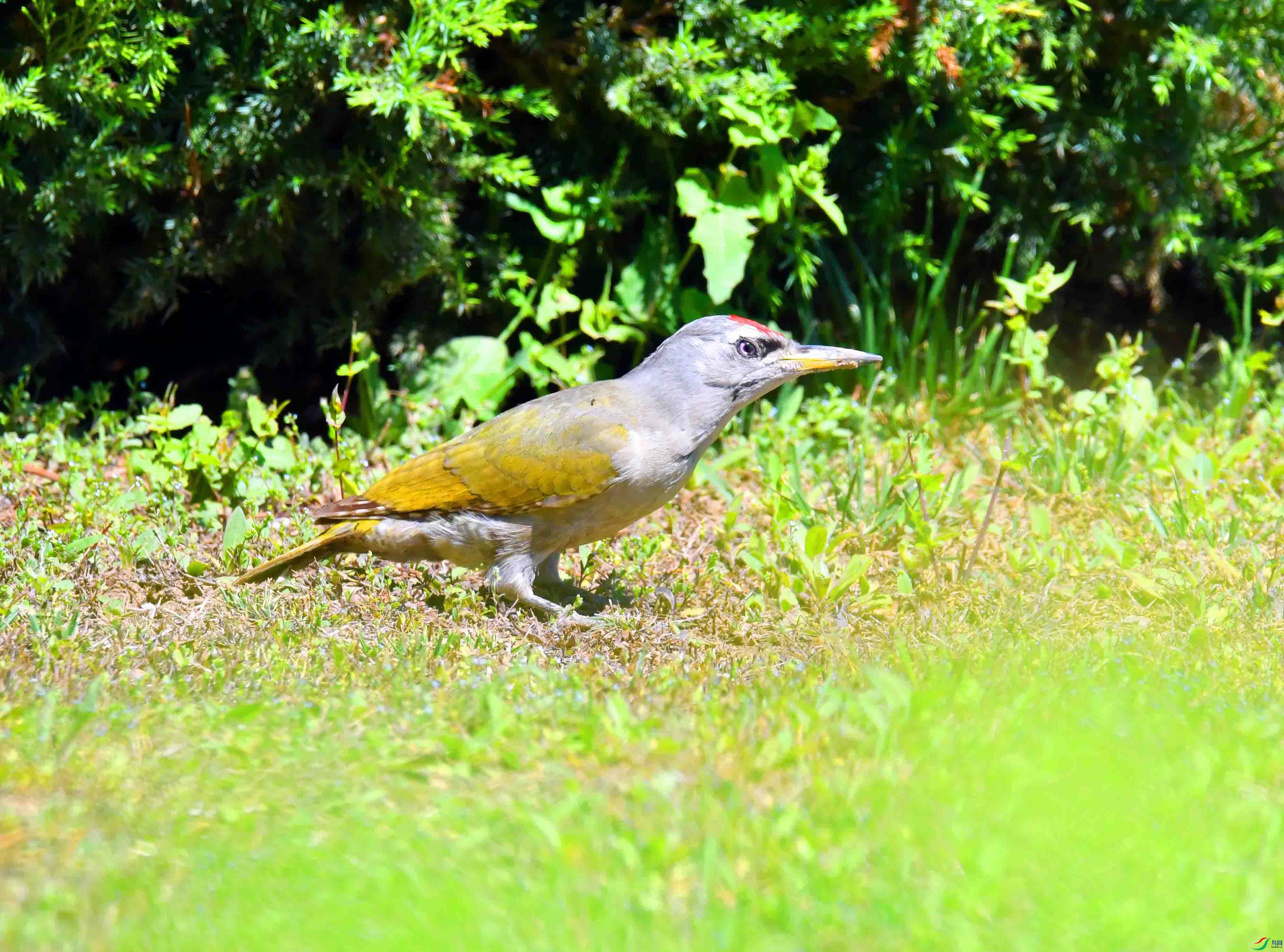 DSC_2477.JPG
