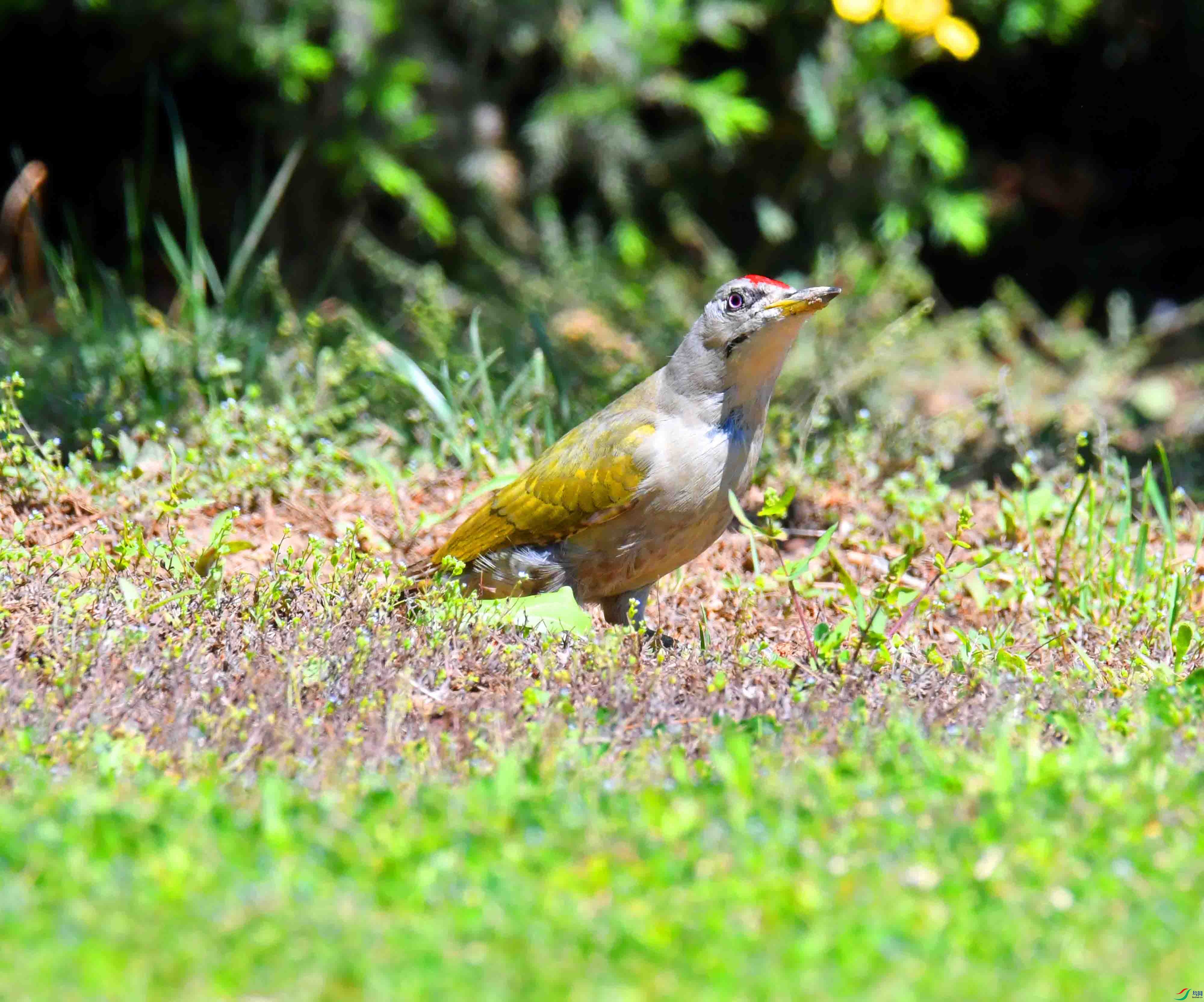 DSC_2487.JPG