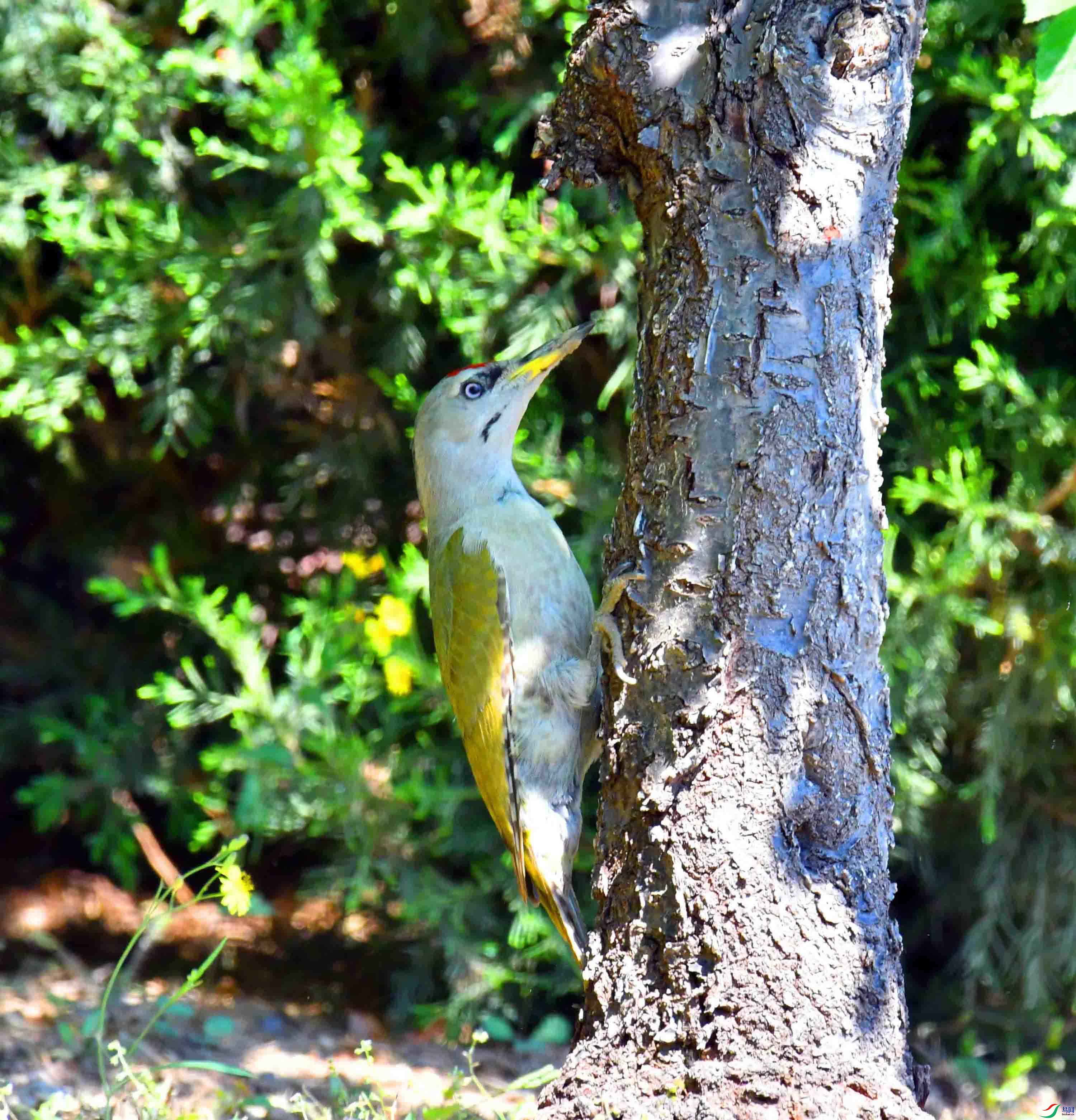DSC_2499.JPG