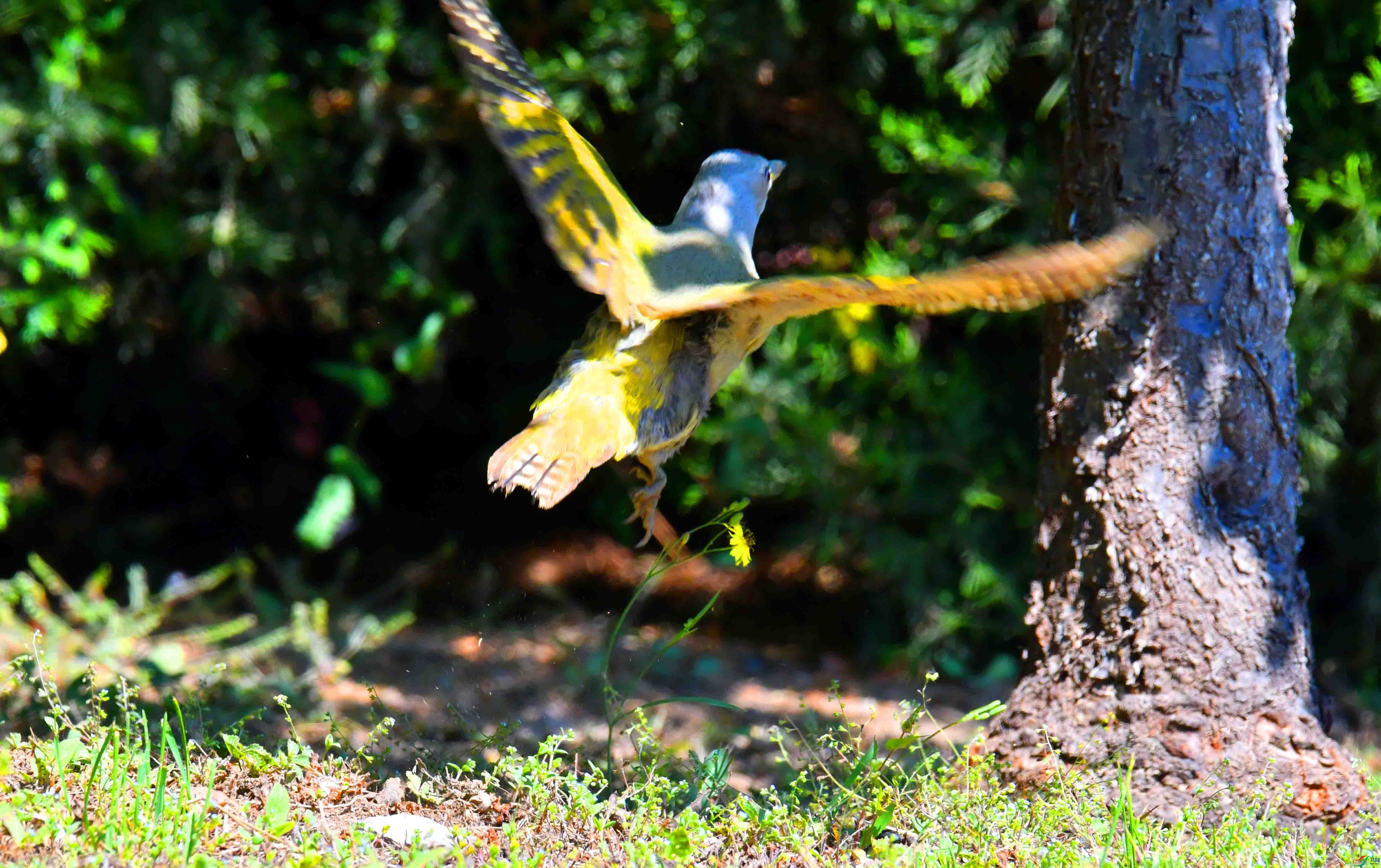 DSC_2496.JPG