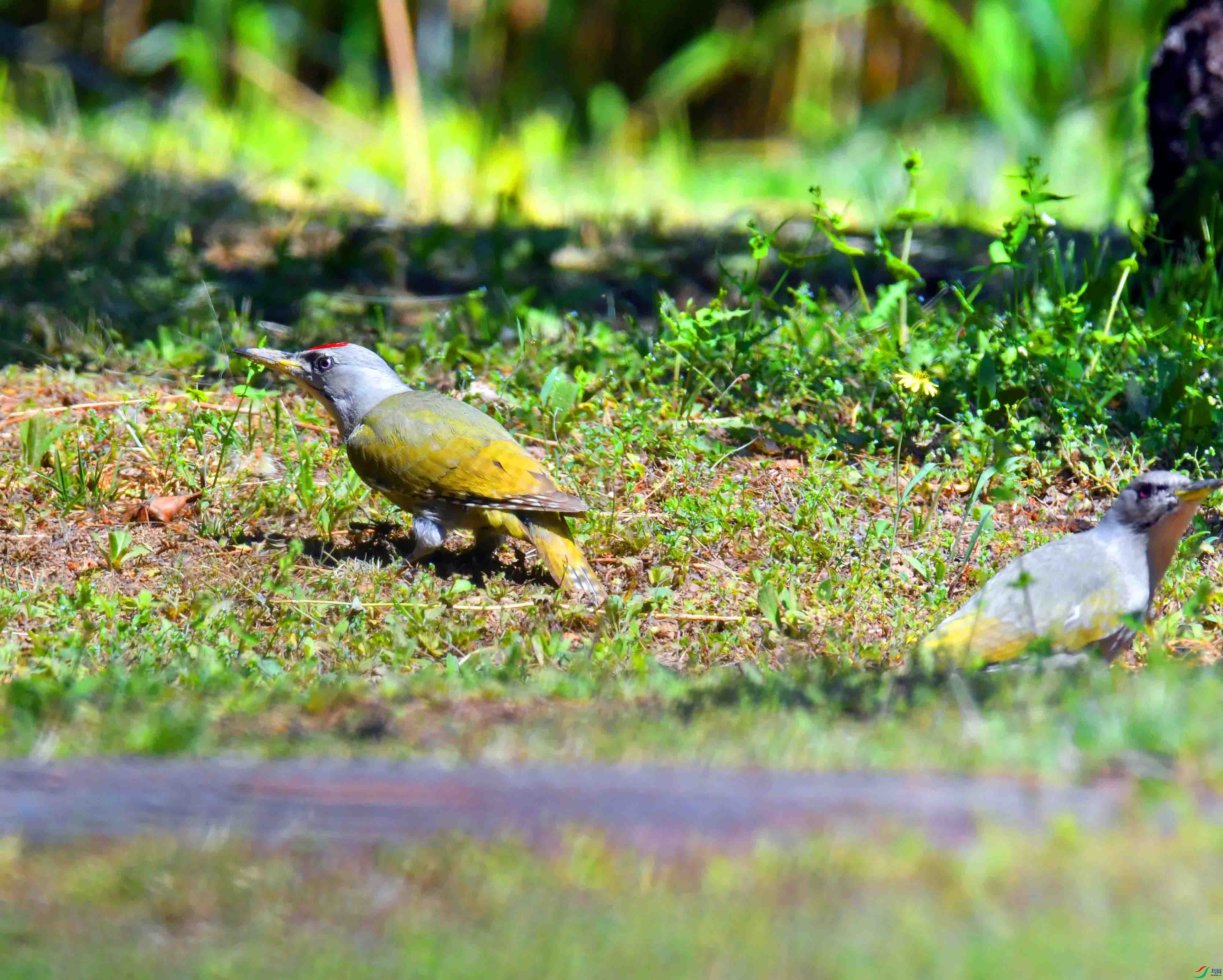 DSC_2541.JPG