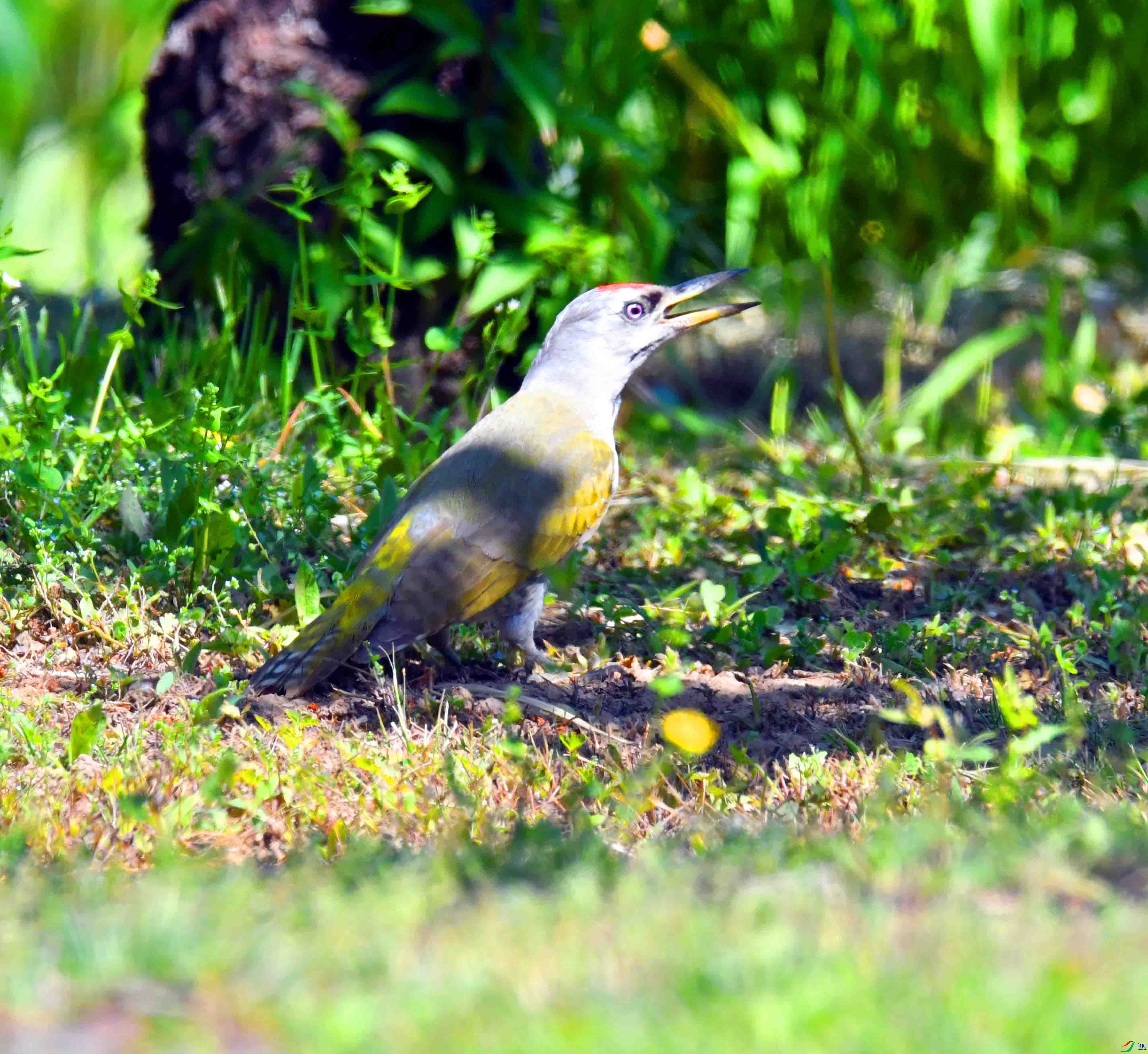 DSC_2545.JPG