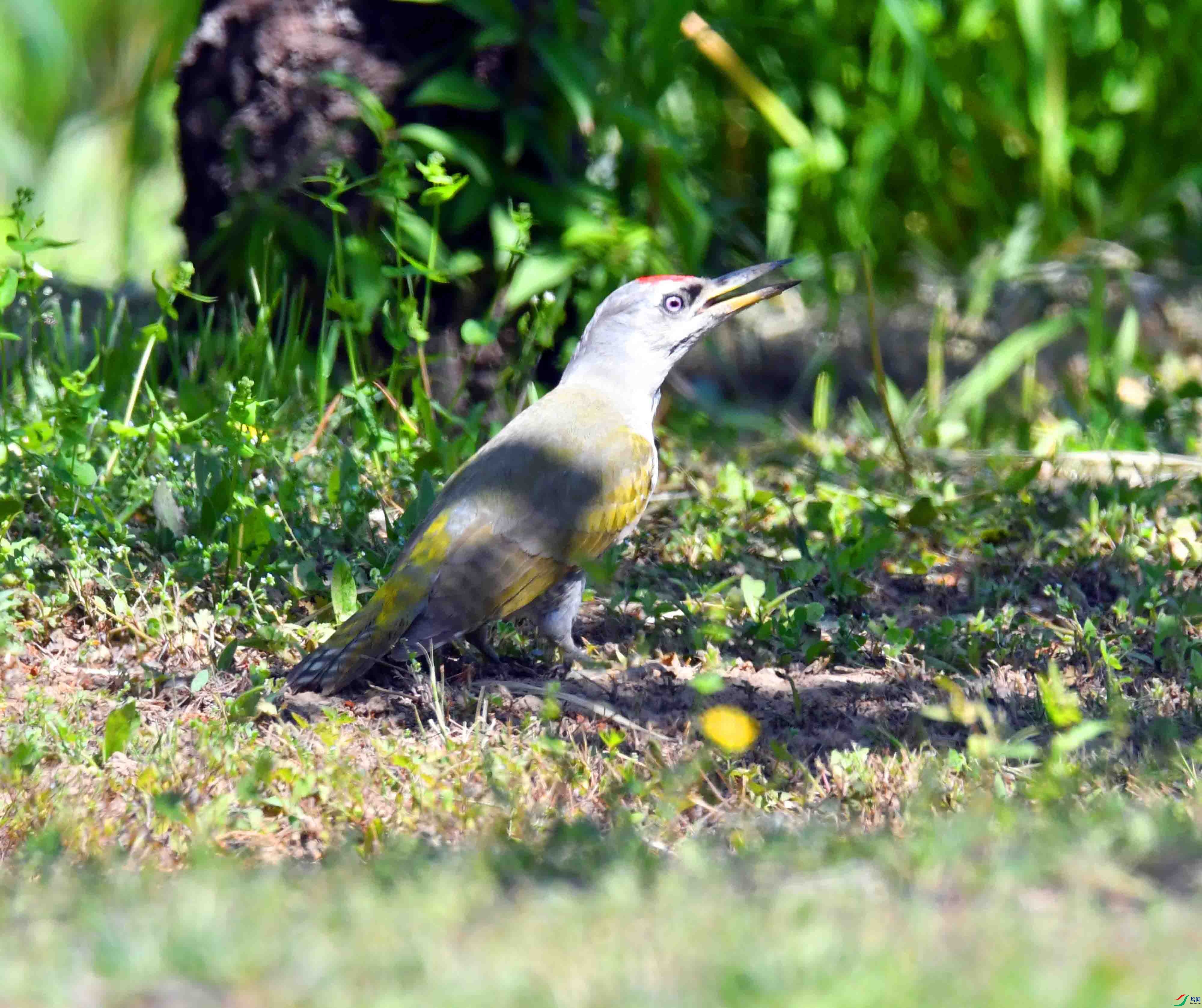 DSC_2547.JPG