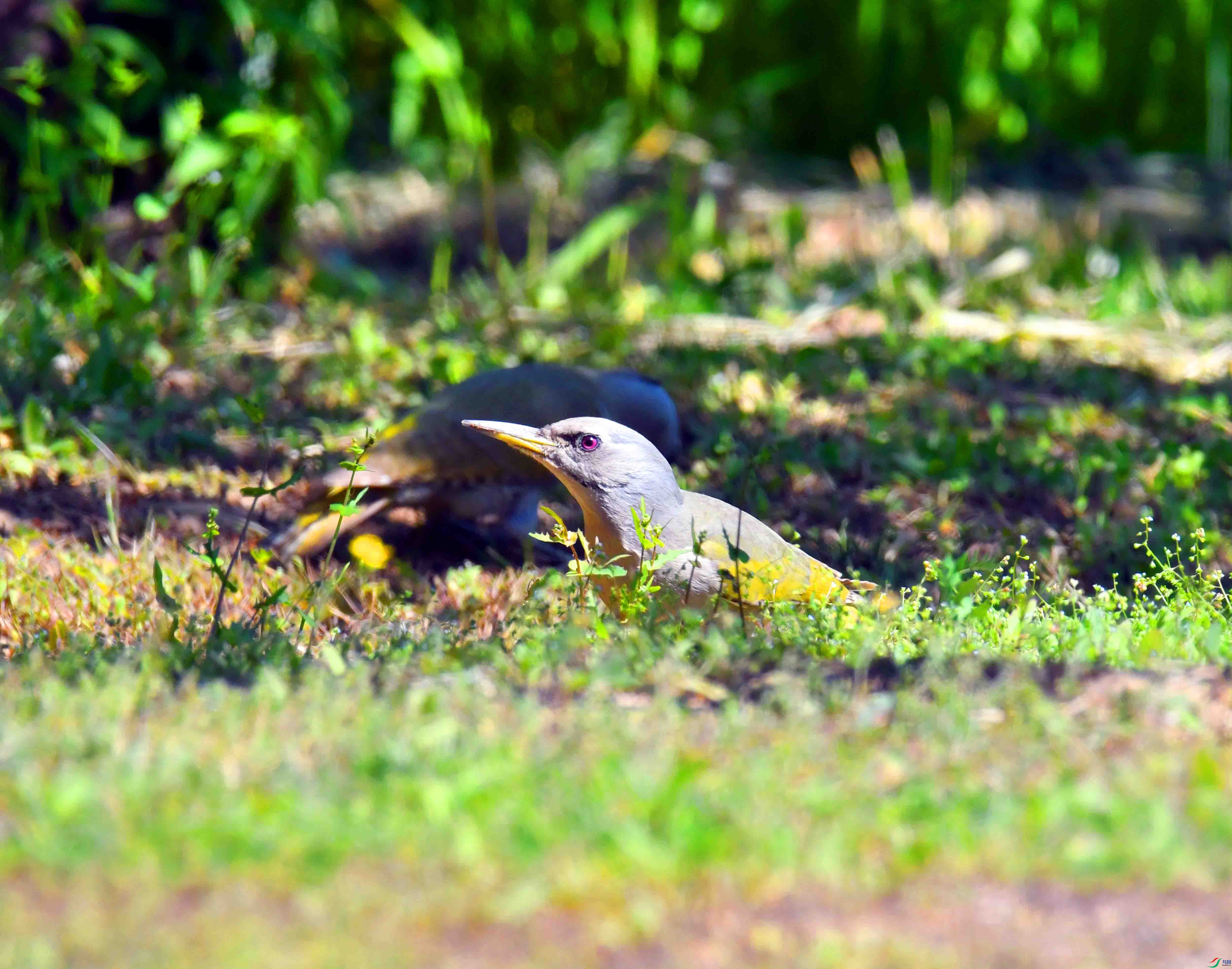 DSC_2556.JPG
