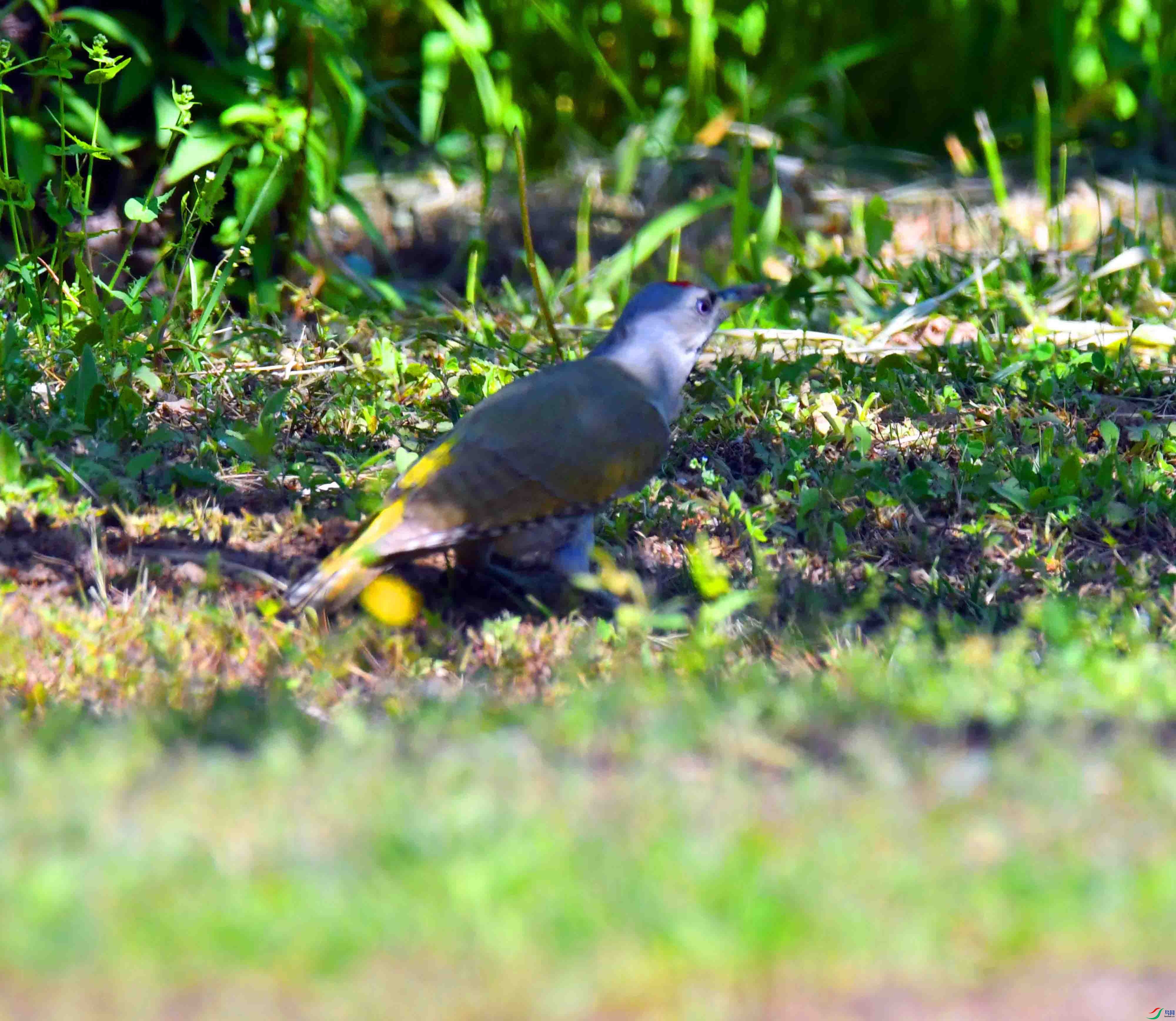 DSC_2567.JPG