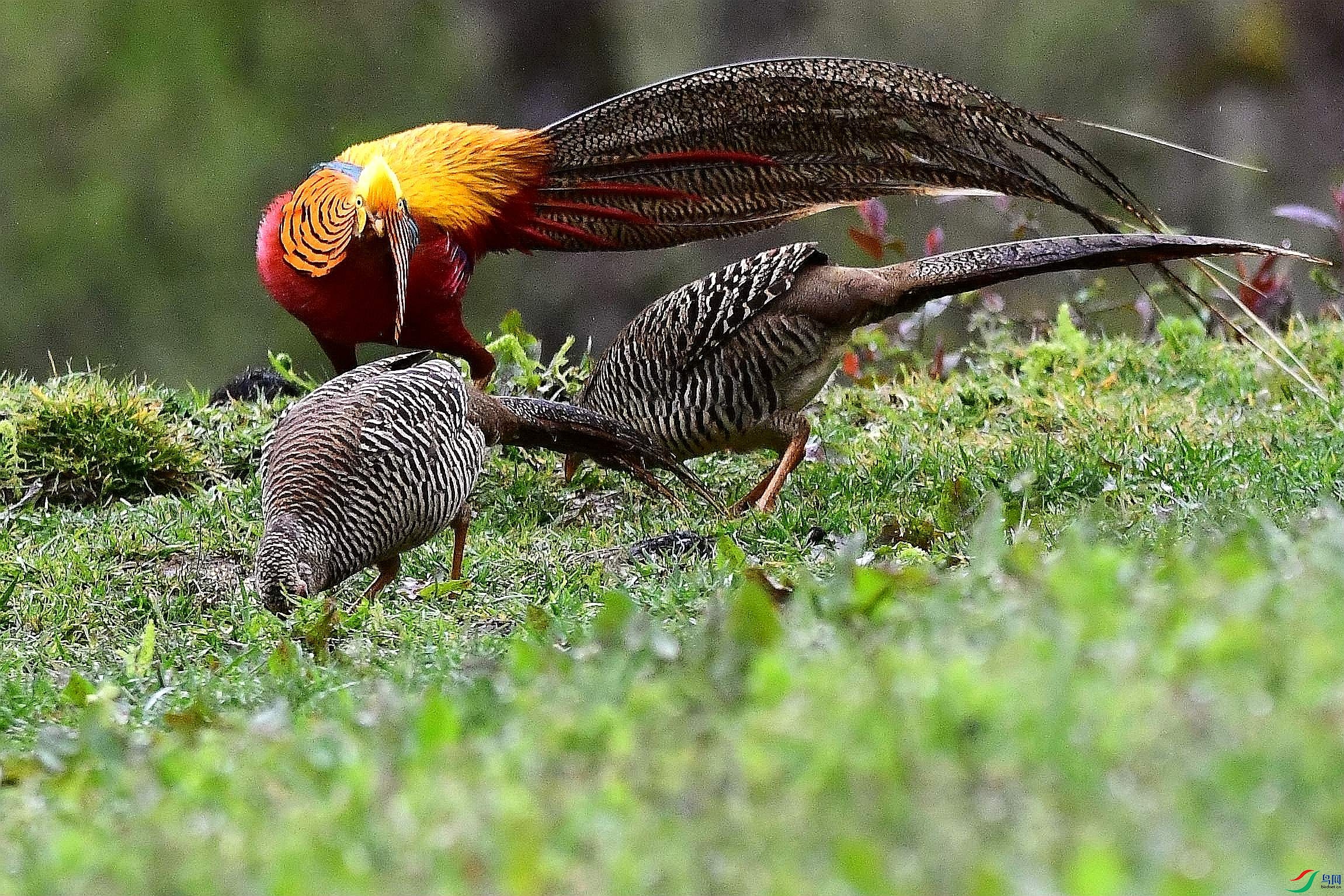 DSC_2022_����.jpg