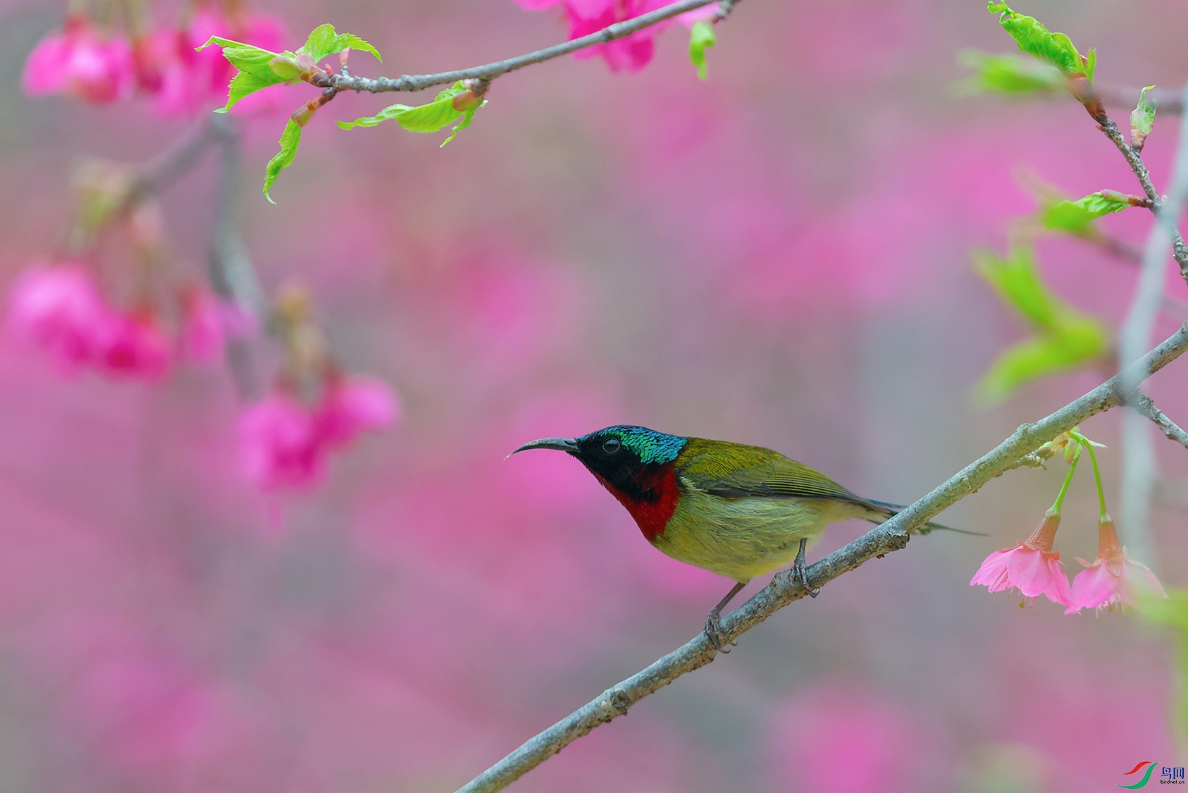 DSC_1170_DxOa.jpg
