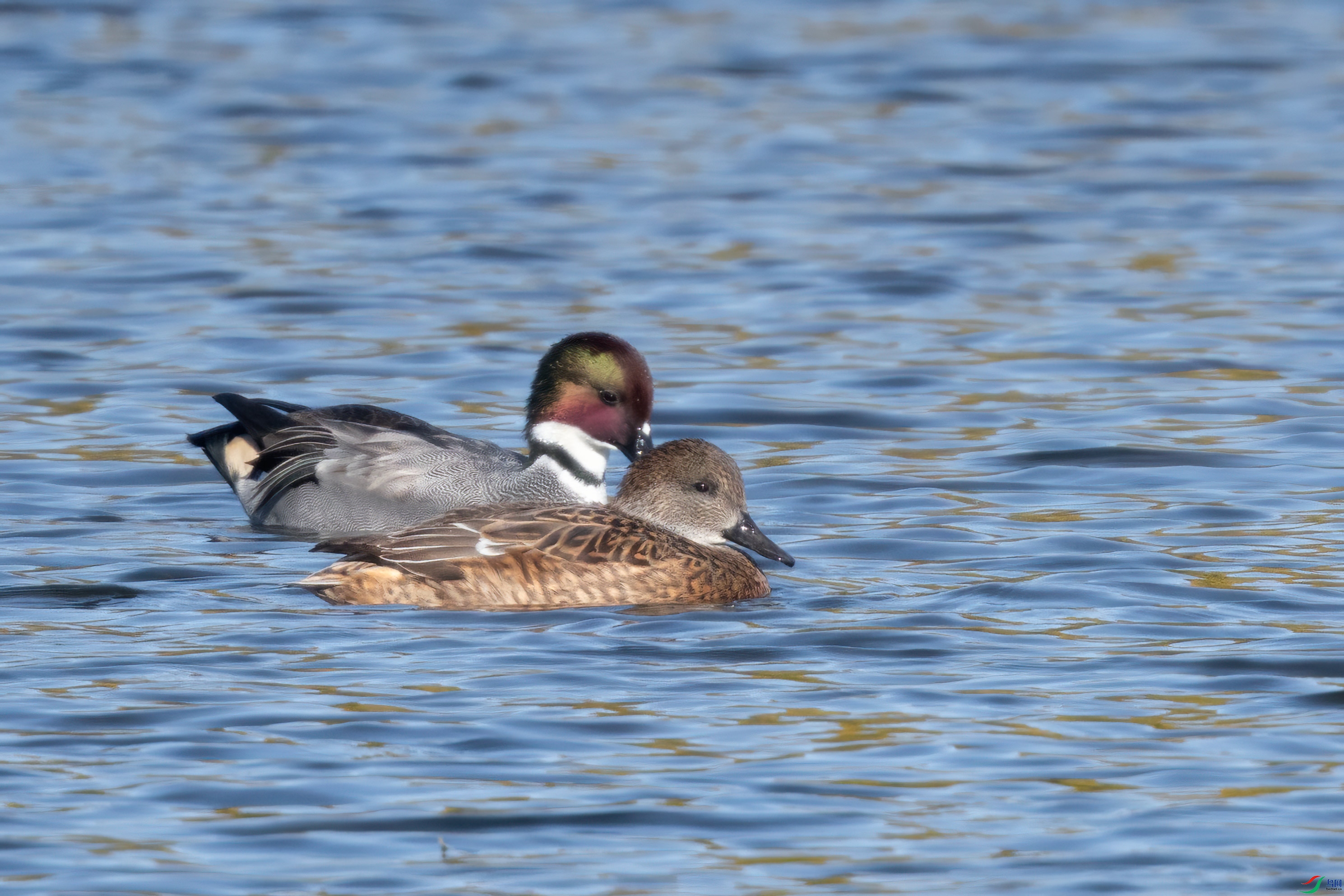 DSC_5582.jpg