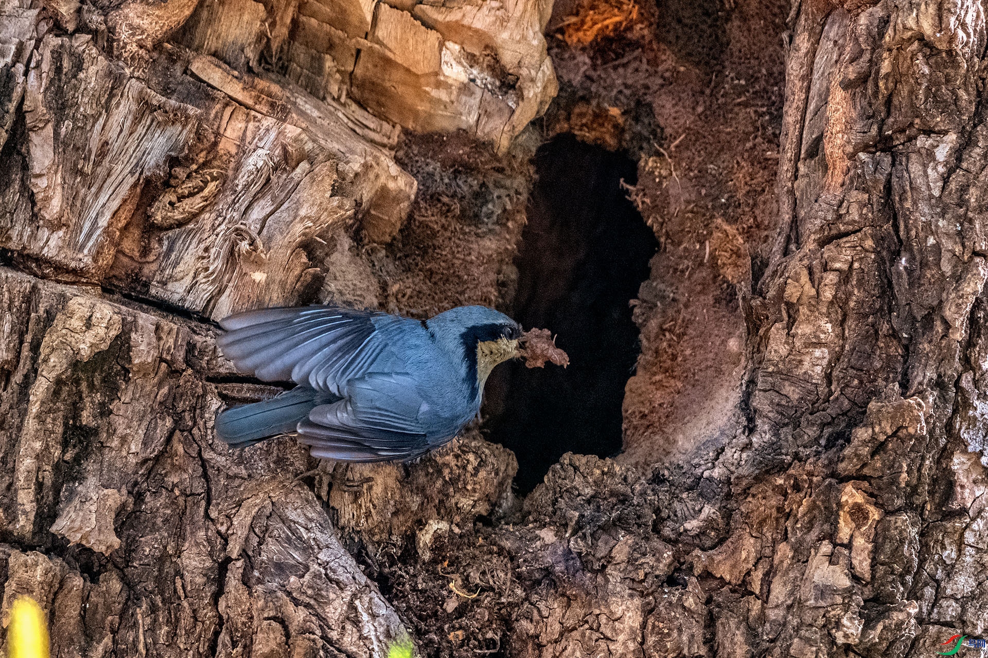 _AUU9154 ����æ(26.3.17).jpg