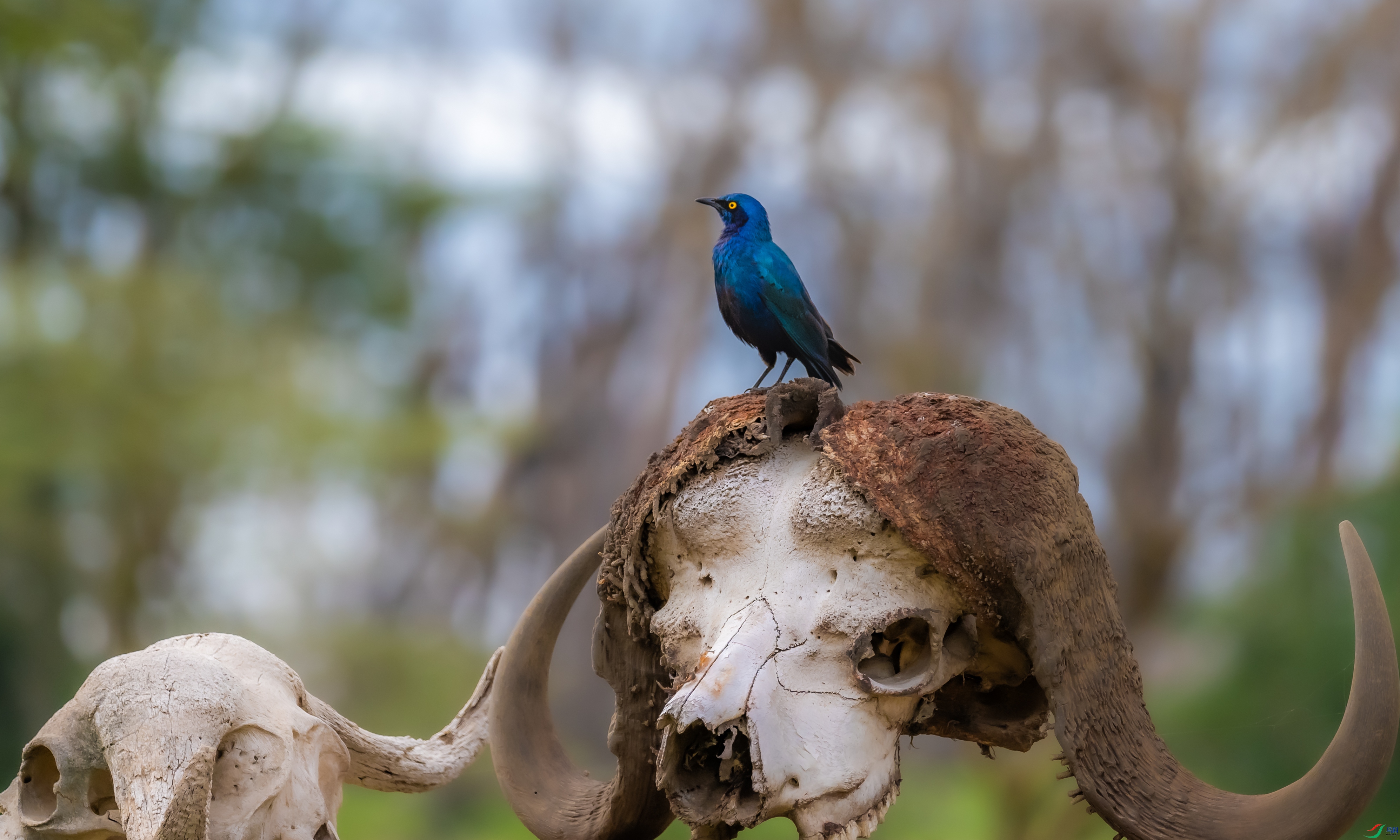 DSC_8456.jpg