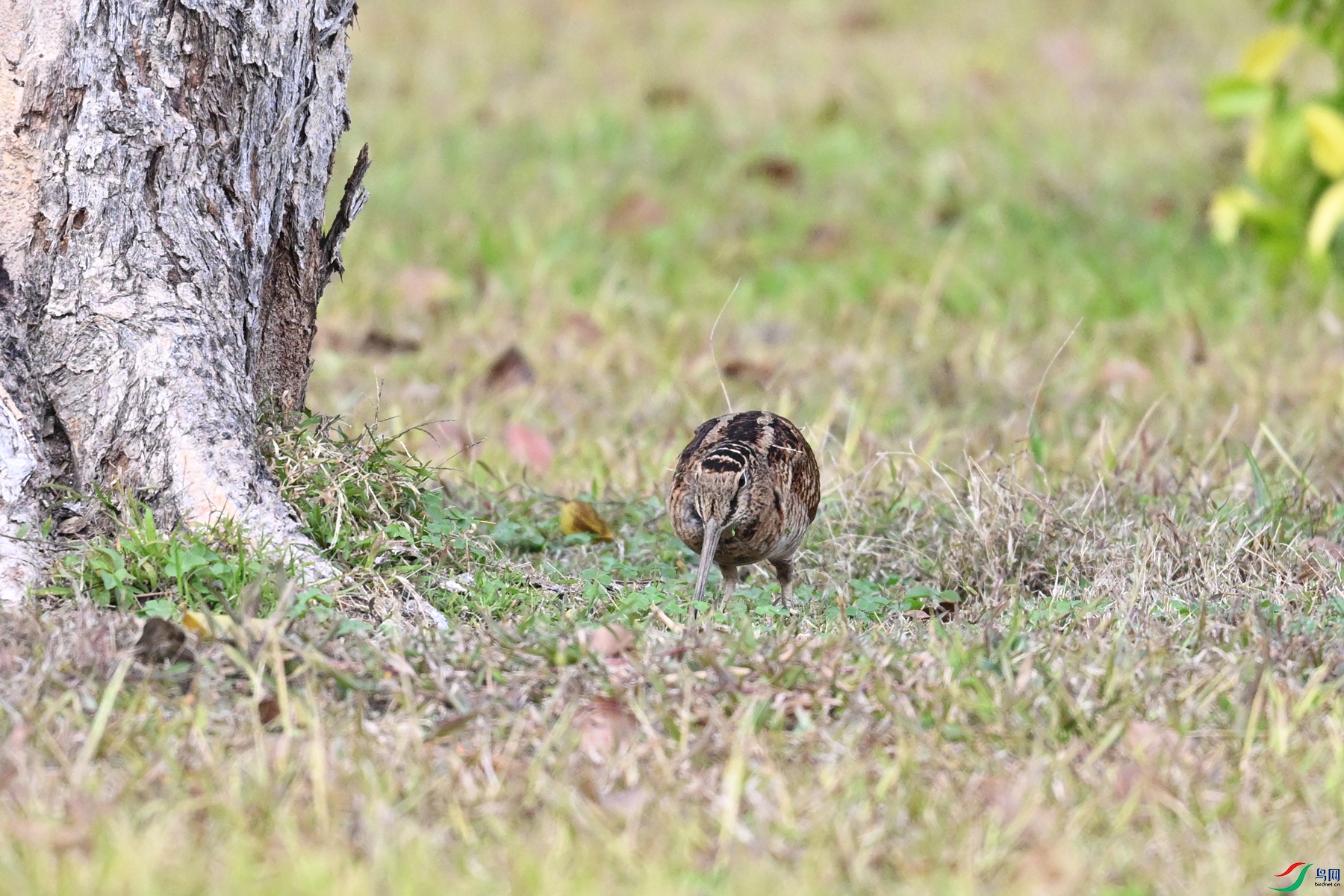 DSC_8505.JPG