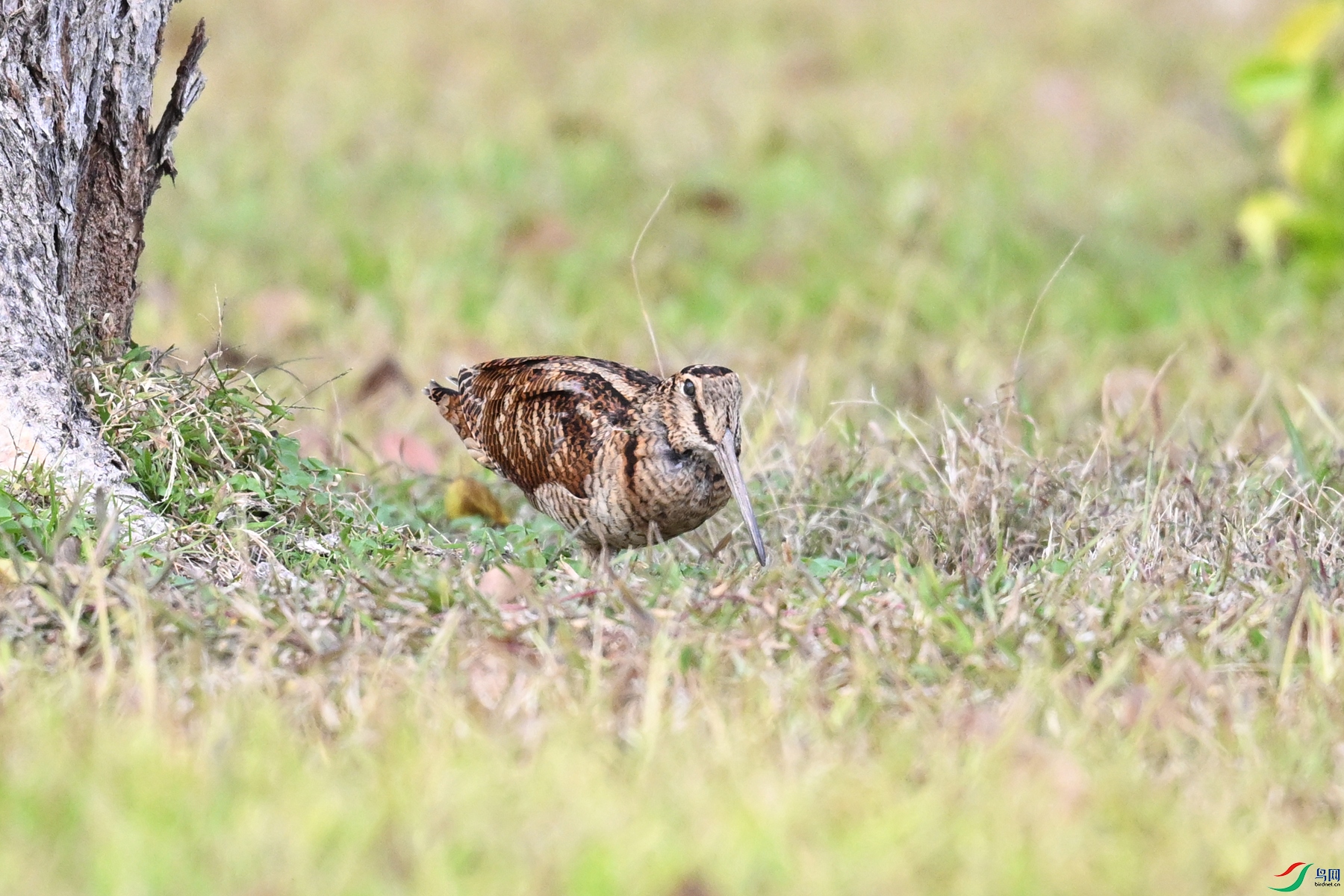 DSC_8513.JPG